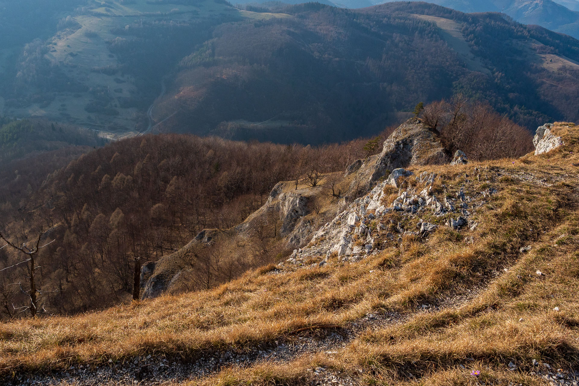 Folkmarská skala z Kojšova (Volovské vrchy)