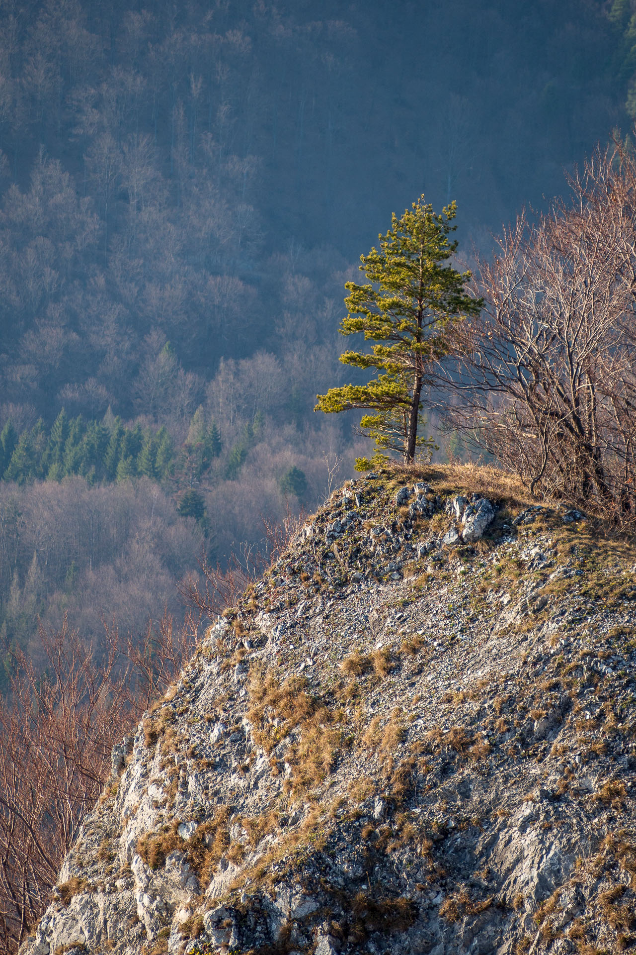 Folkmarská skala z Kojšova (Volovské vrchy)