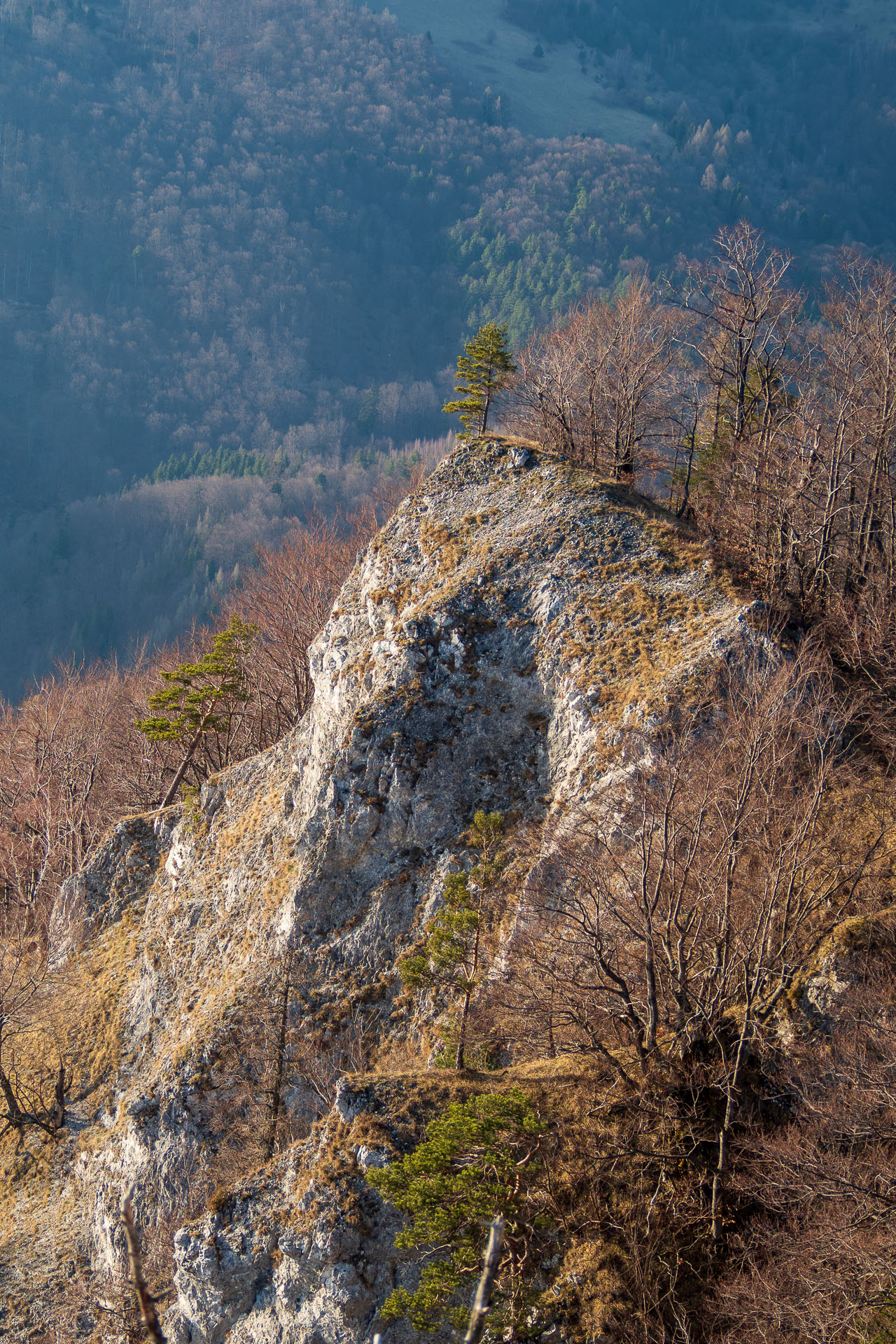 Folkmarská skala z Kojšova (Volovské vrchy)