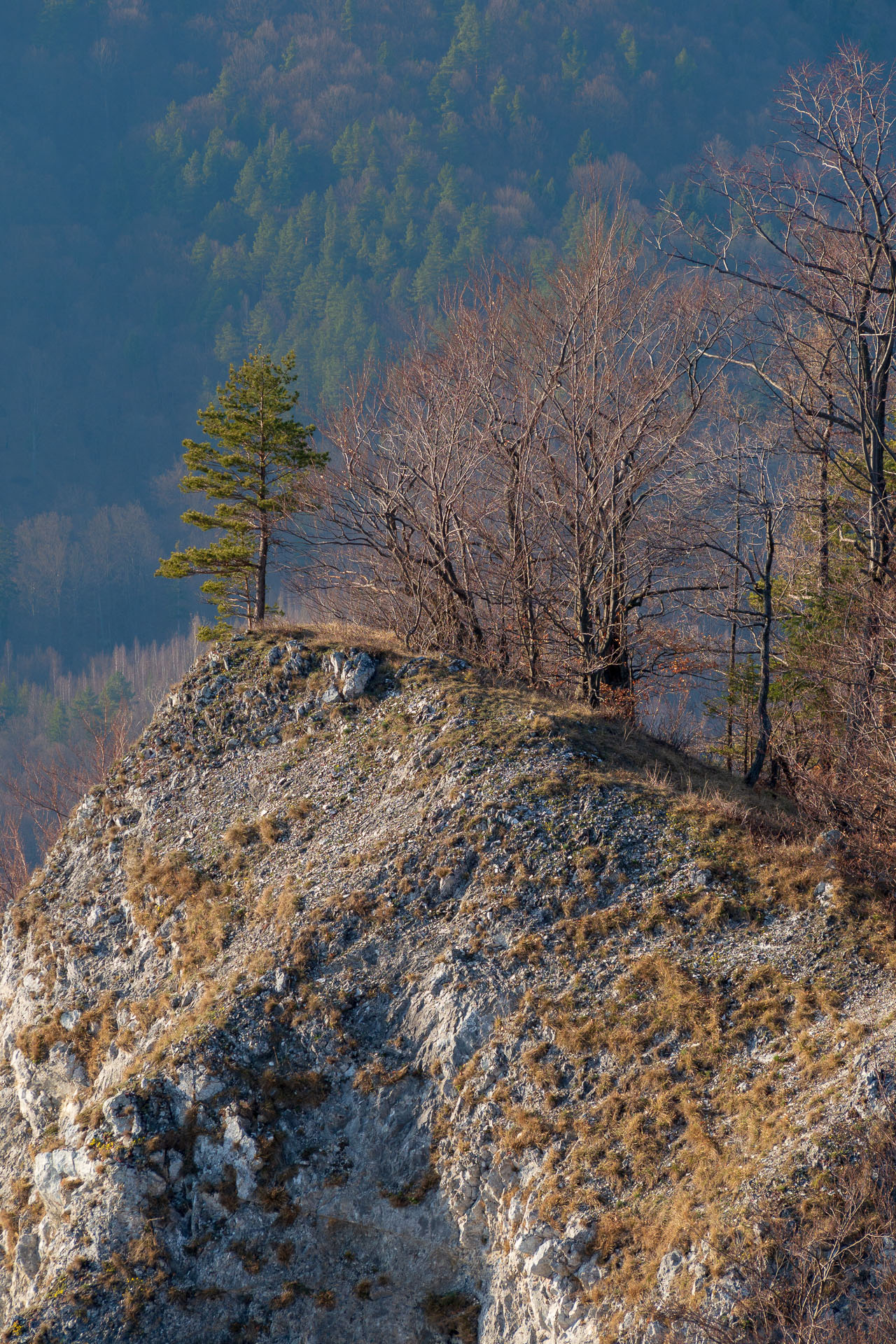 Folkmarská skala z Kojšova (Volovské vrchy)