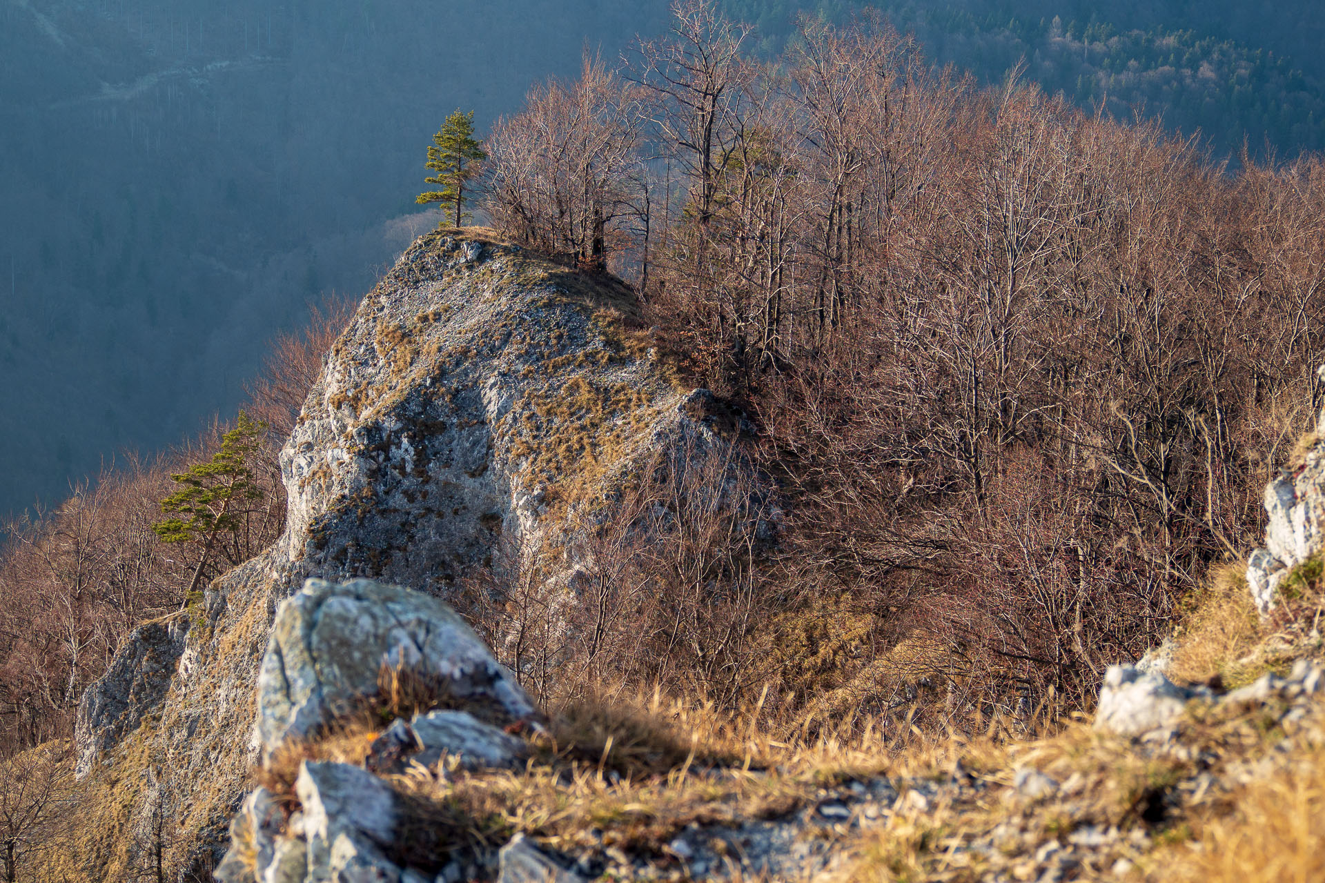 Folkmarská skala z Kojšova (Volovské vrchy)