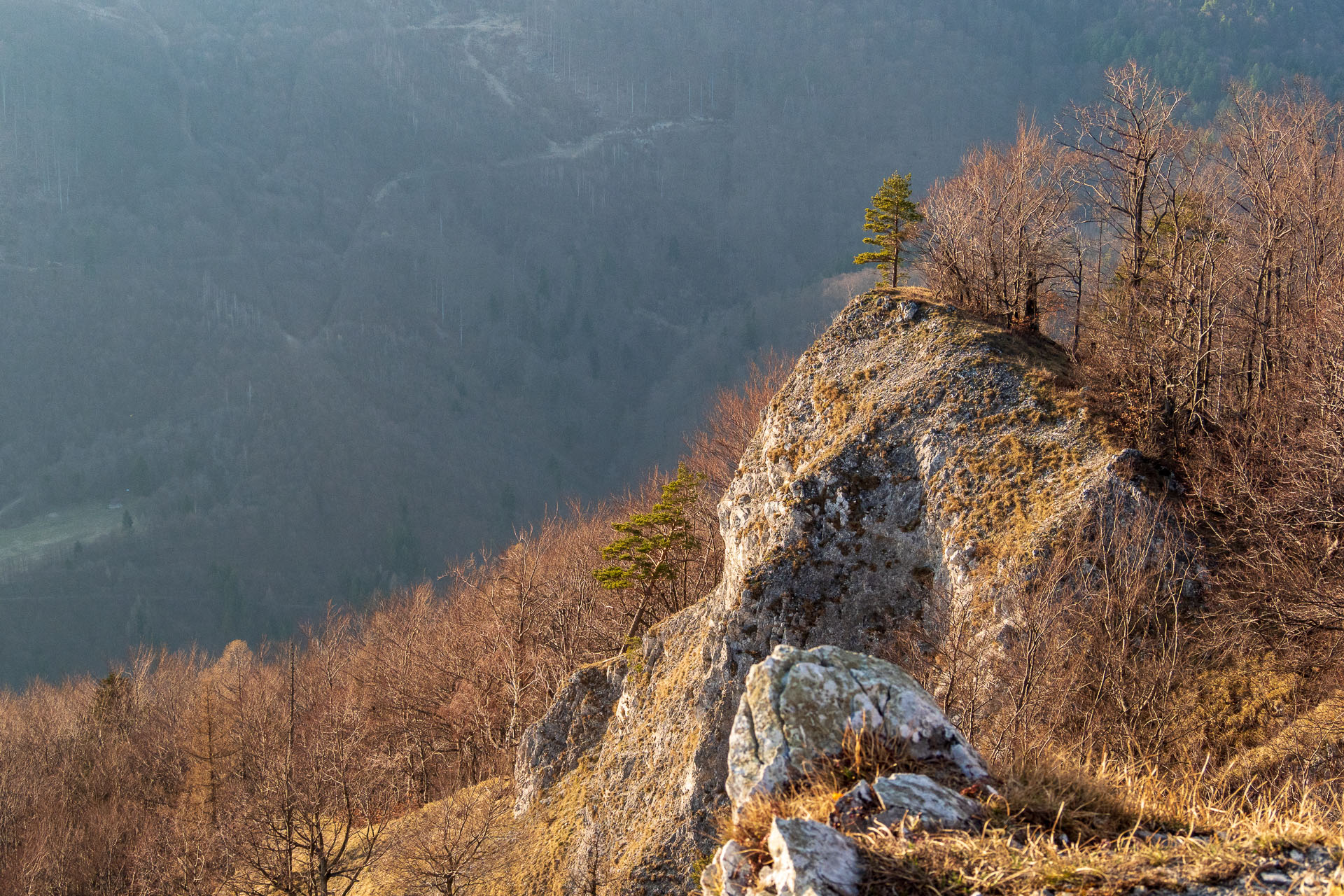 Folkmarská skala z Kojšova (Volovské vrchy)