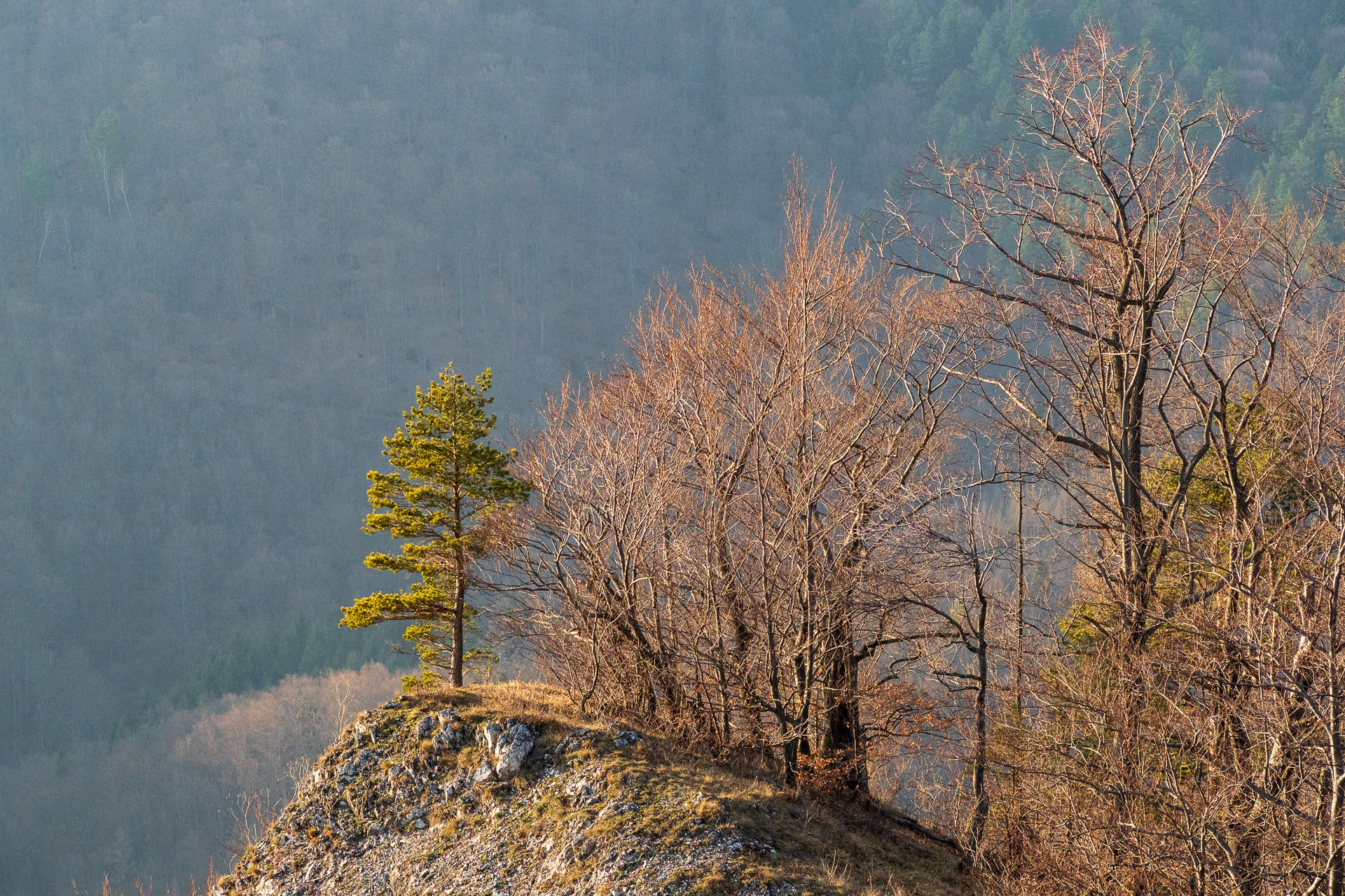 Folkmarská skala z Kojšova (Volovské vrchy)