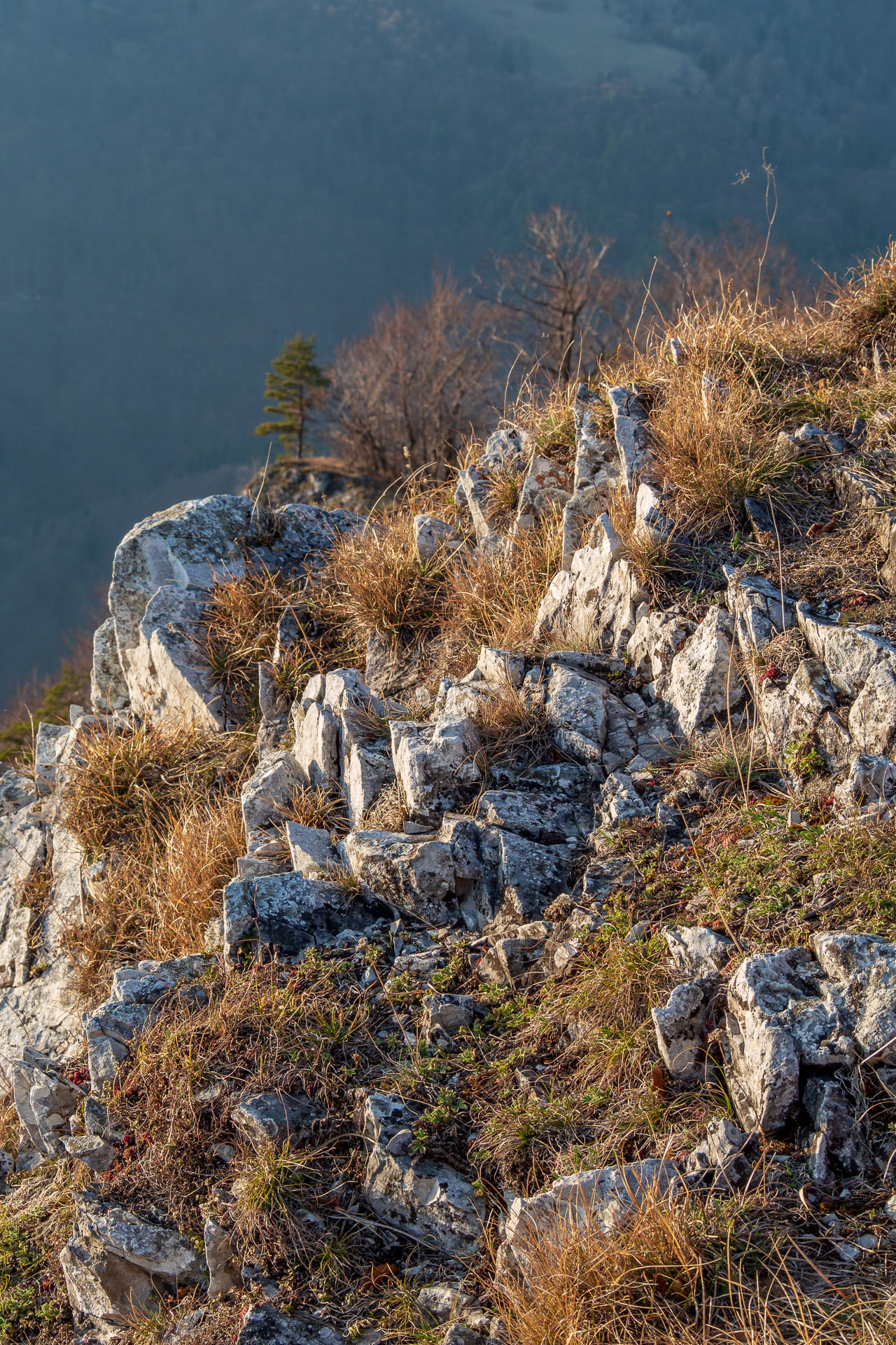 Folkmarská skala z Kojšova (Volovské vrchy)