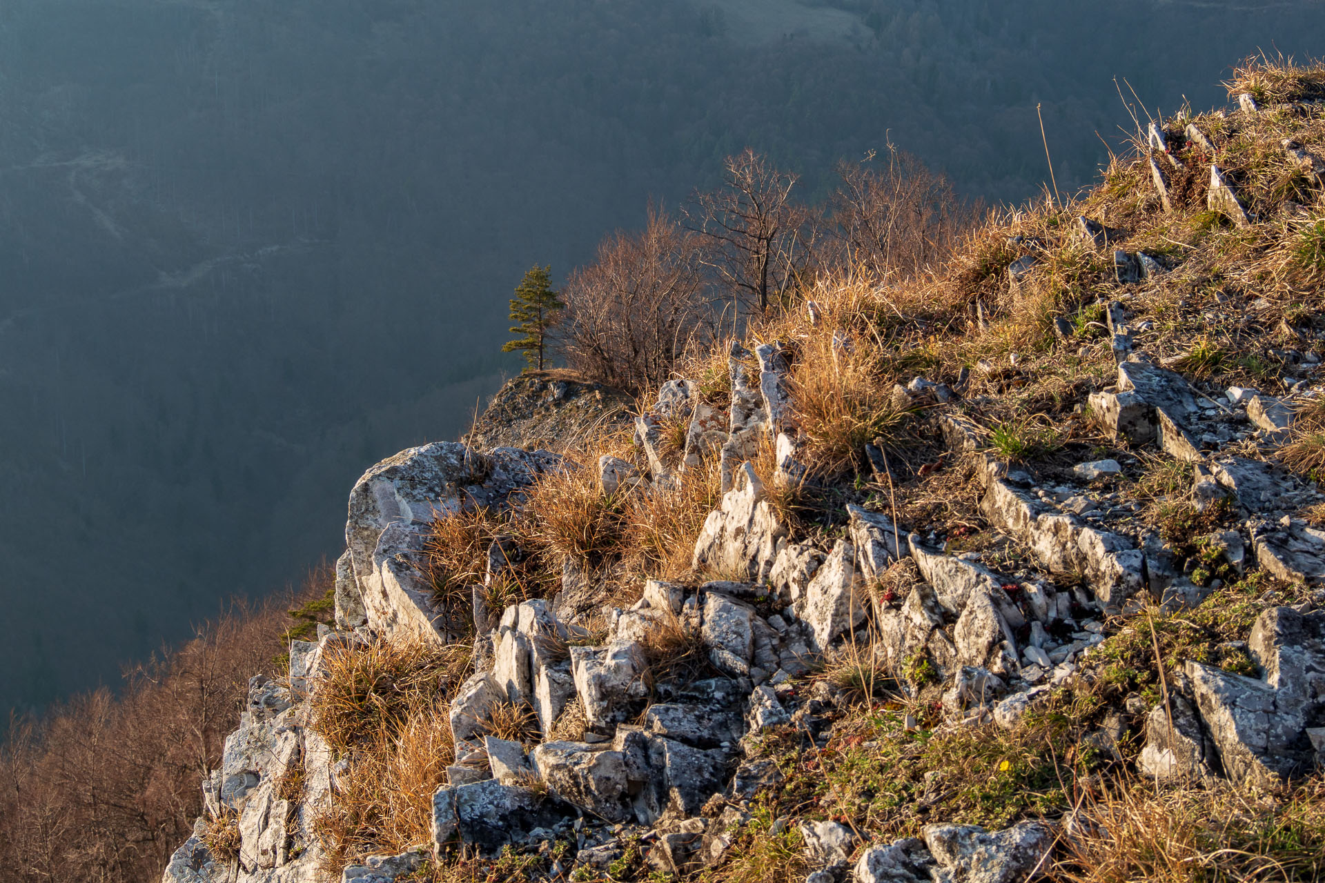 Folkmarská skala z Kojšova (Volovské vrchy)