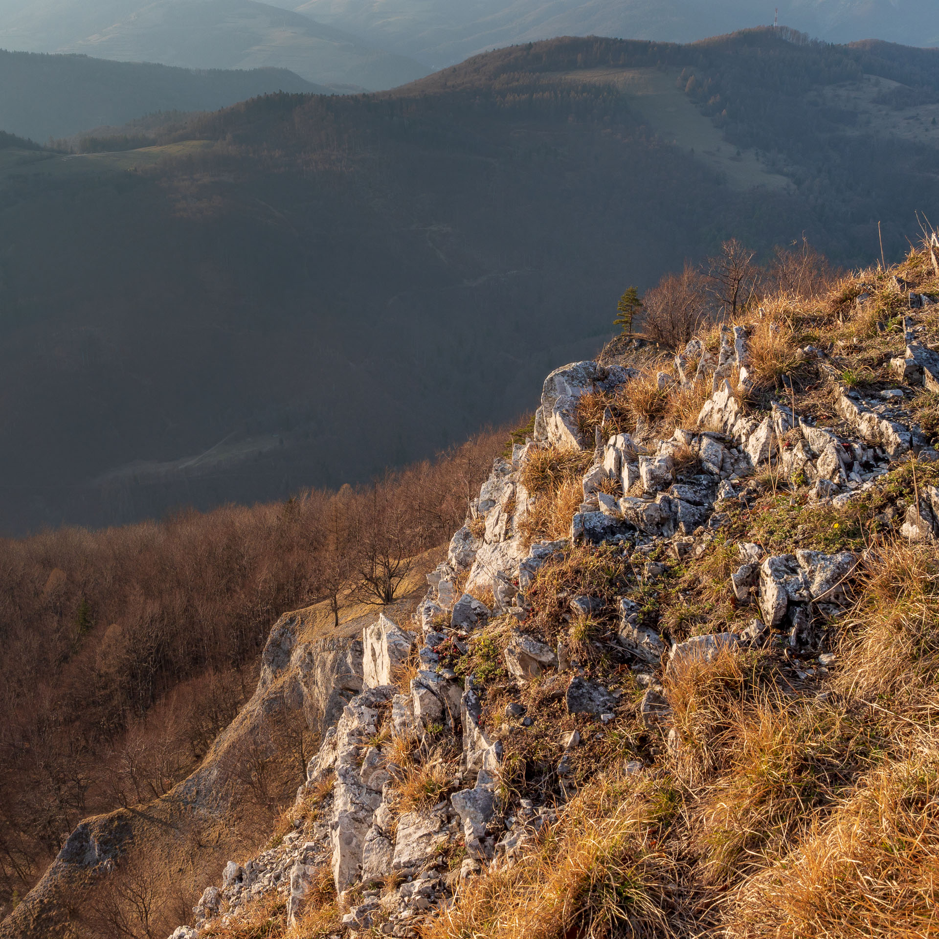 Folkmarská skala z Kojšova (Volovské vrchy)