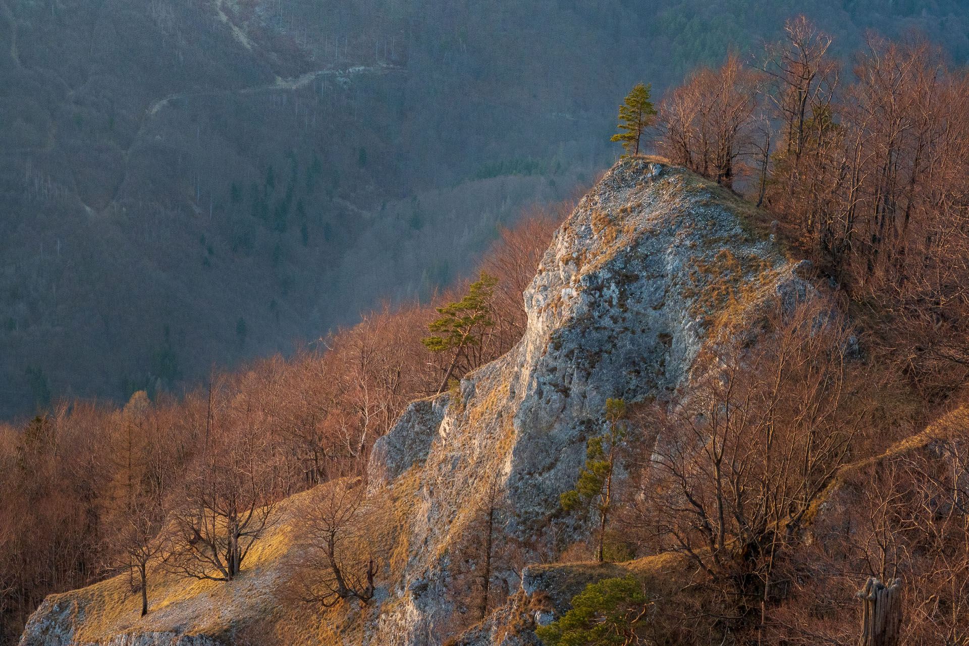 Výhľad z Folkmarskej skaly