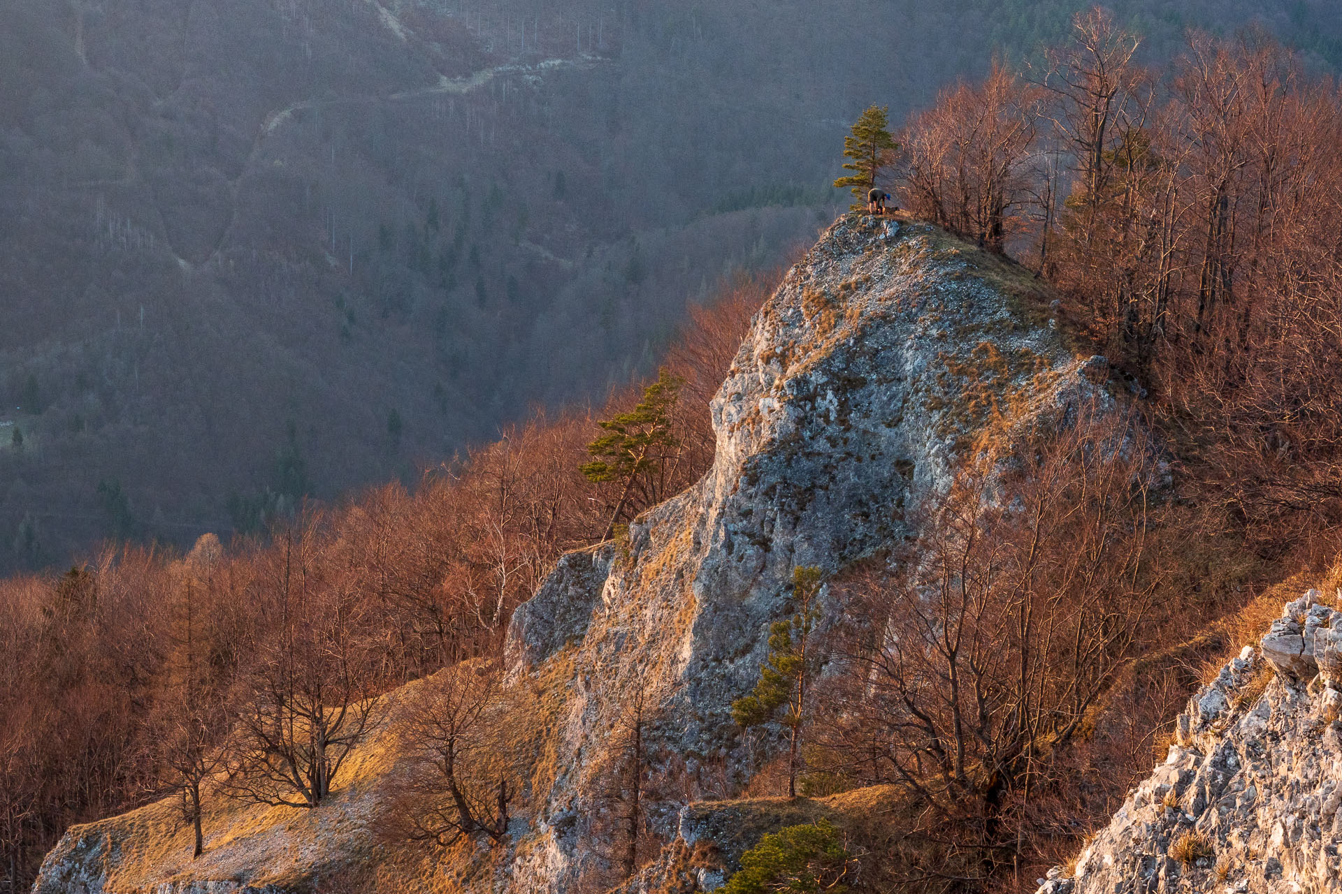 Folkmarská skala z Kojšova (Volovské vrchy)