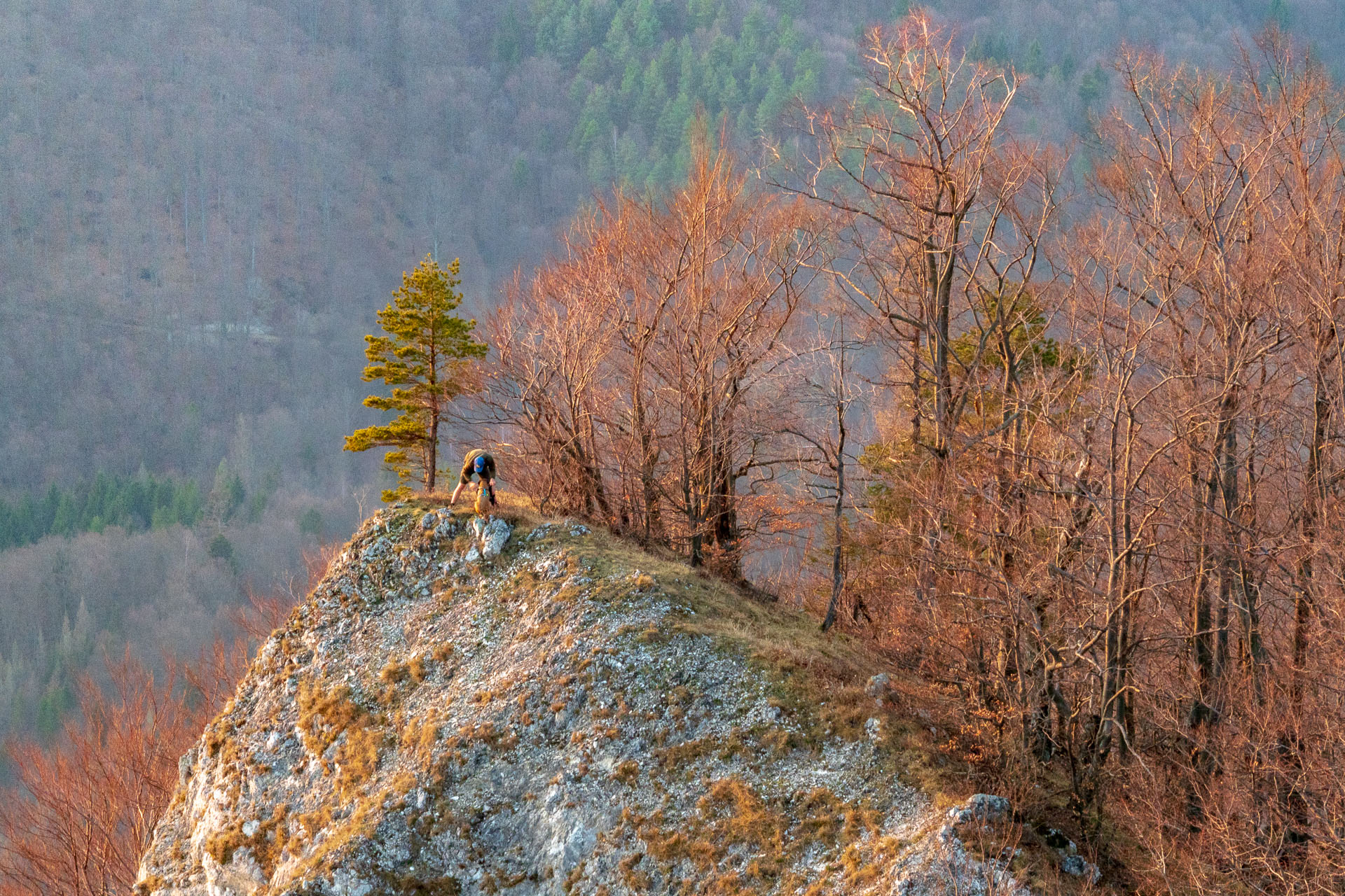 Folkmarská skala z Kojšova (Volovské vrchy)