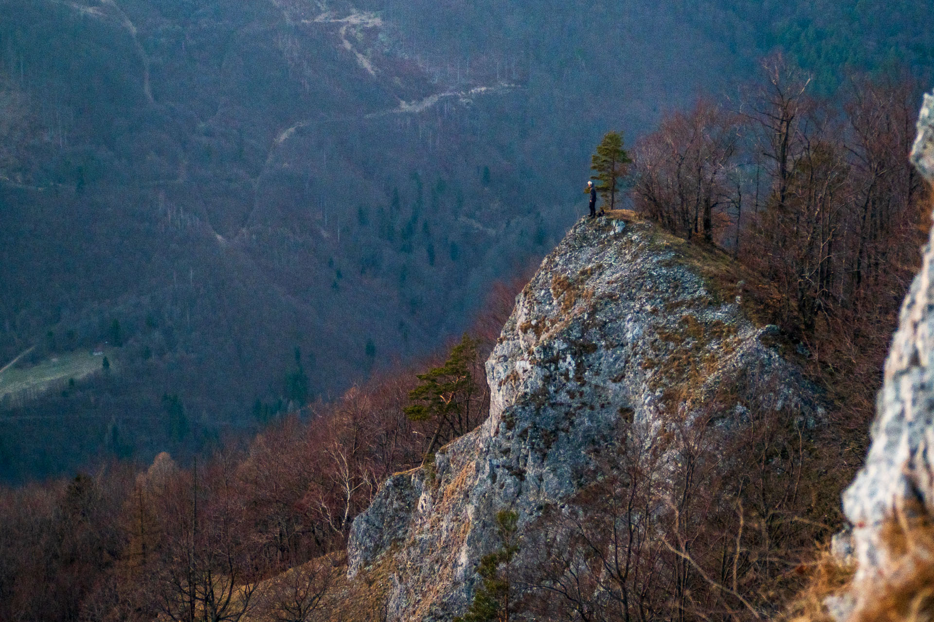 Folkmarská skala z Kojšova (Volovské vrchy)