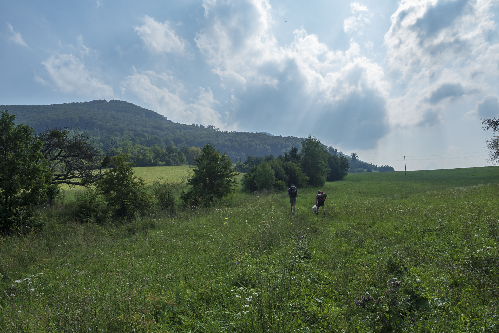 Gerlašská skala a Zvonárka z Rožňavského Bystrého (Slovenský kras)