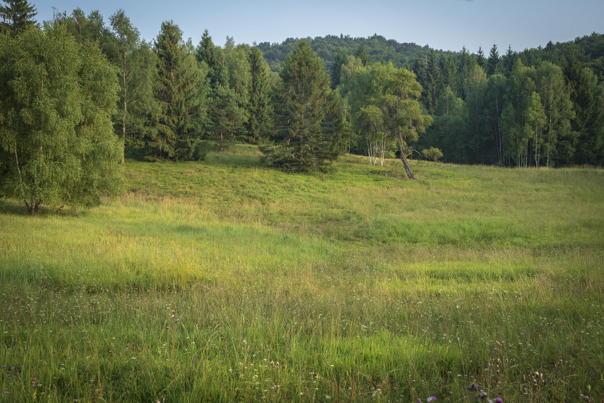 Gerlašská skala a Zvonárka z Rožňavského Bystrého (Slovenský kras)