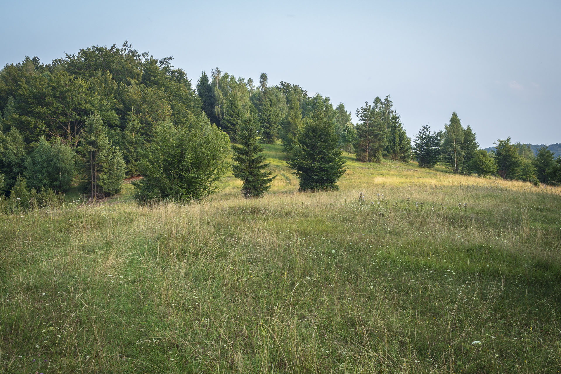 Gerlašská skala a Zvonárka z Rožňavského Bystrého (Slovenský kras)