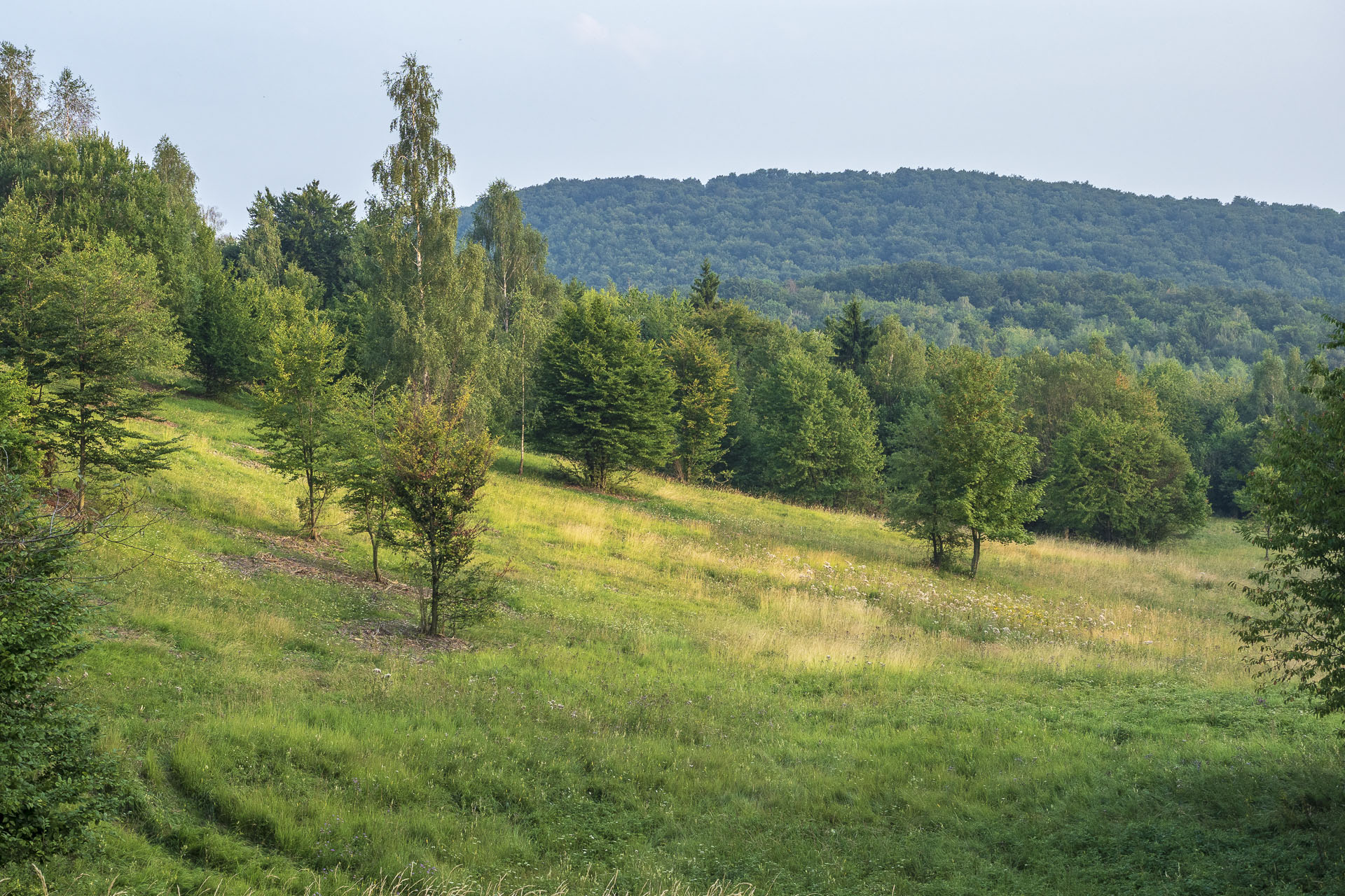 Gerlašská skala a Zvonárka z Rožňavského Bystrého (Slovenský kras)