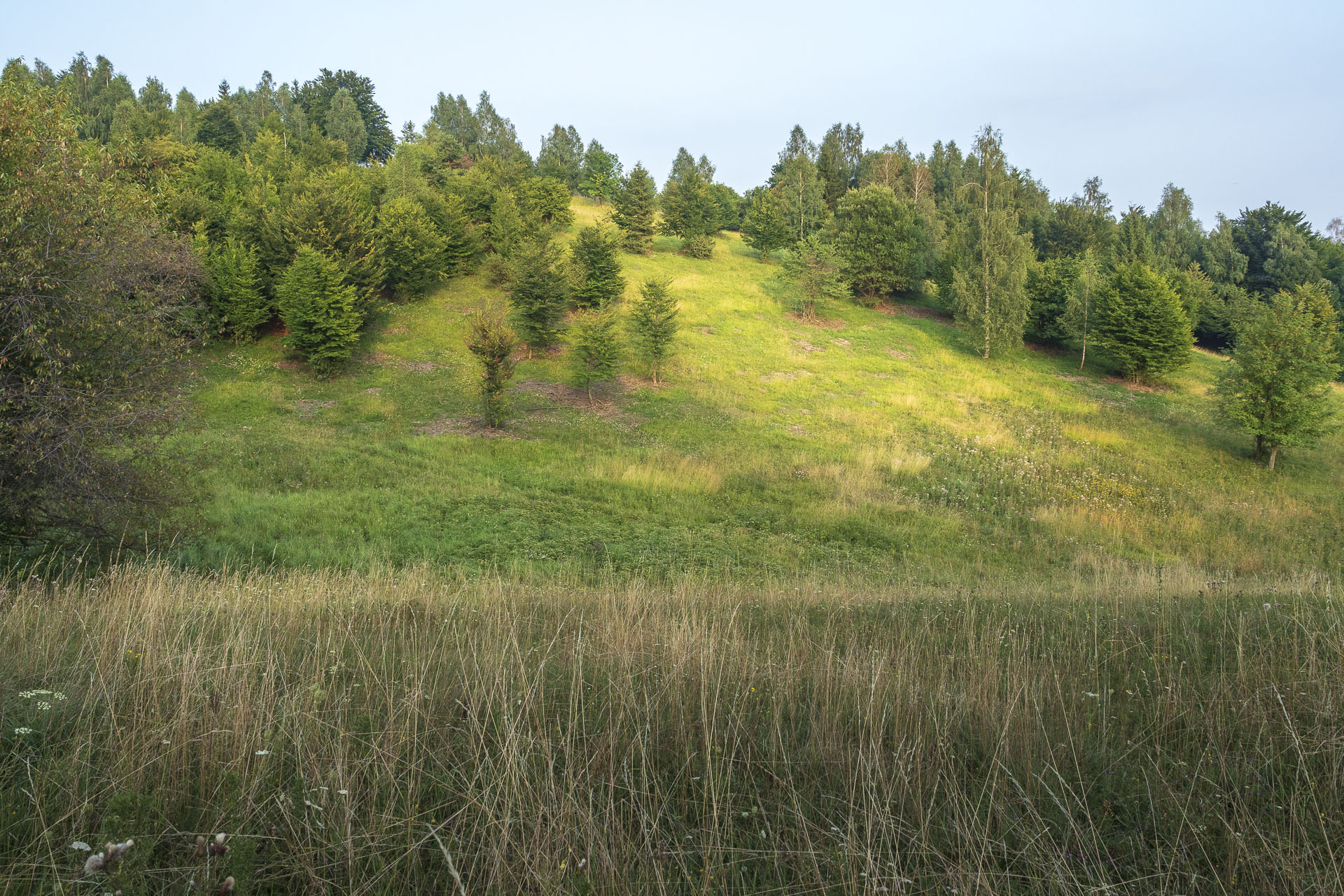 Gerlašská skala a Zvonárka z Rožňavského Bystrého (Slovenský kras)