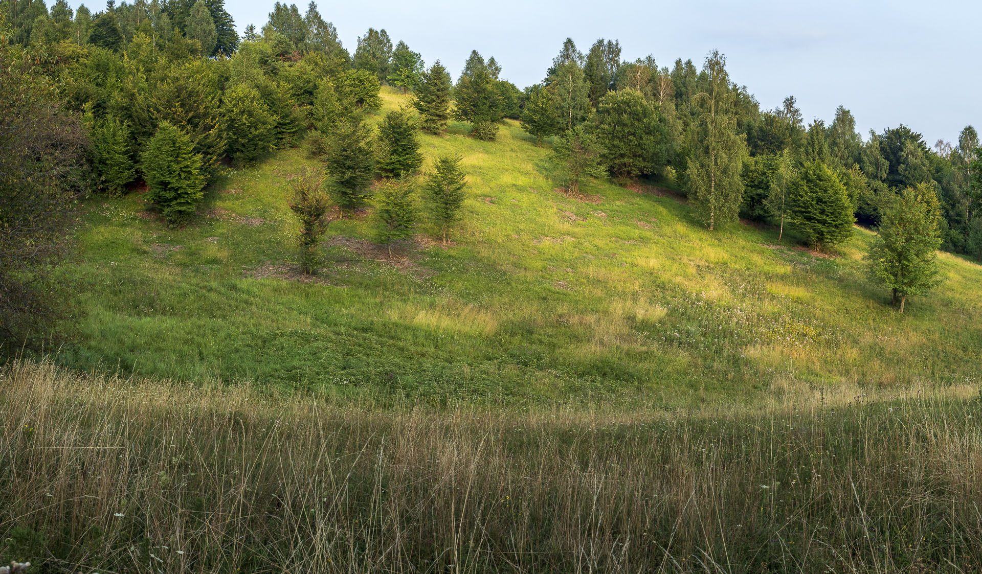 Gerlašská skala a Zvonárka z Rožňavského Bystrého (Slovenský kras)