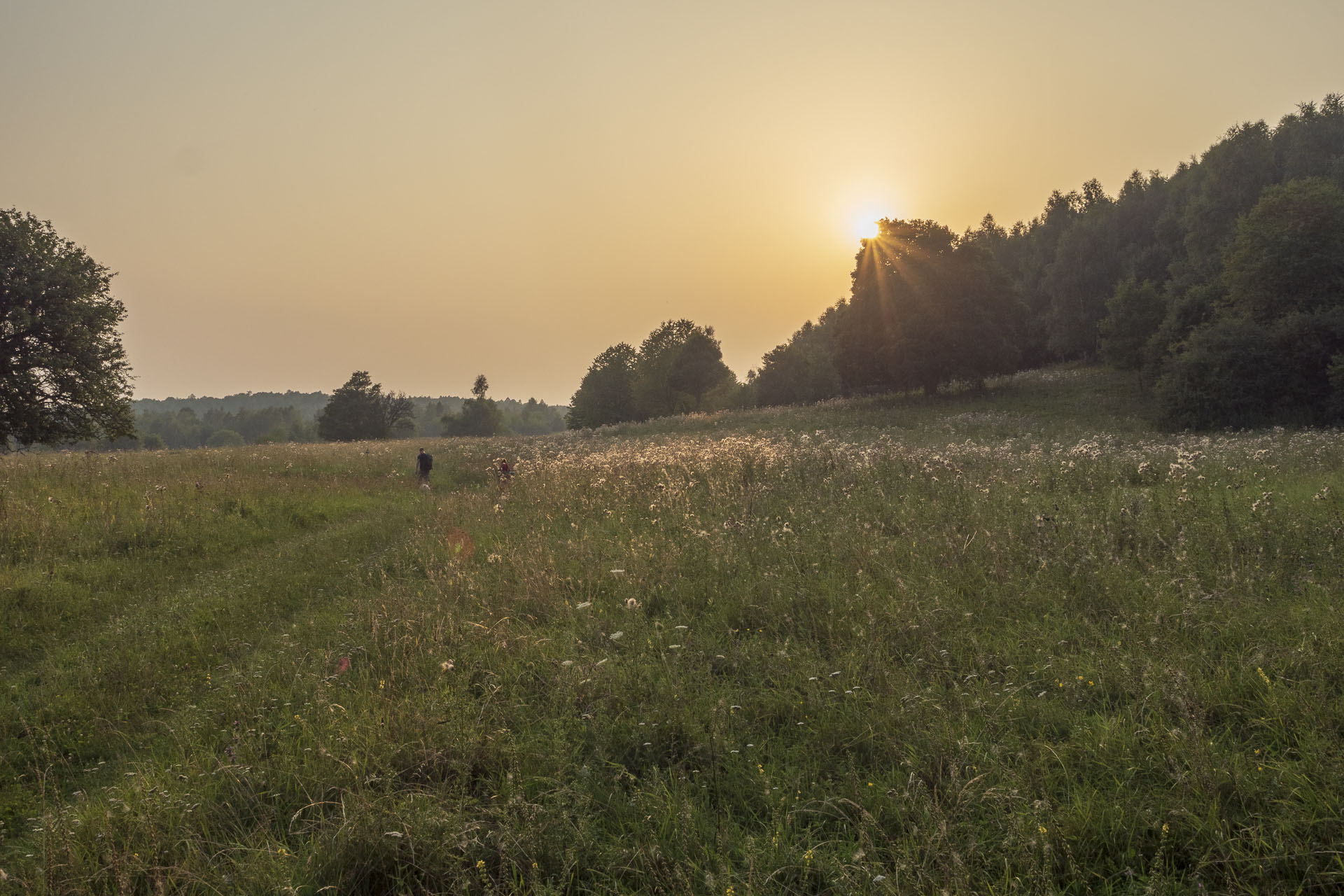 Gerlašská skala a Zvonárka z Rožňavského Bystrého (Slovenský kras)