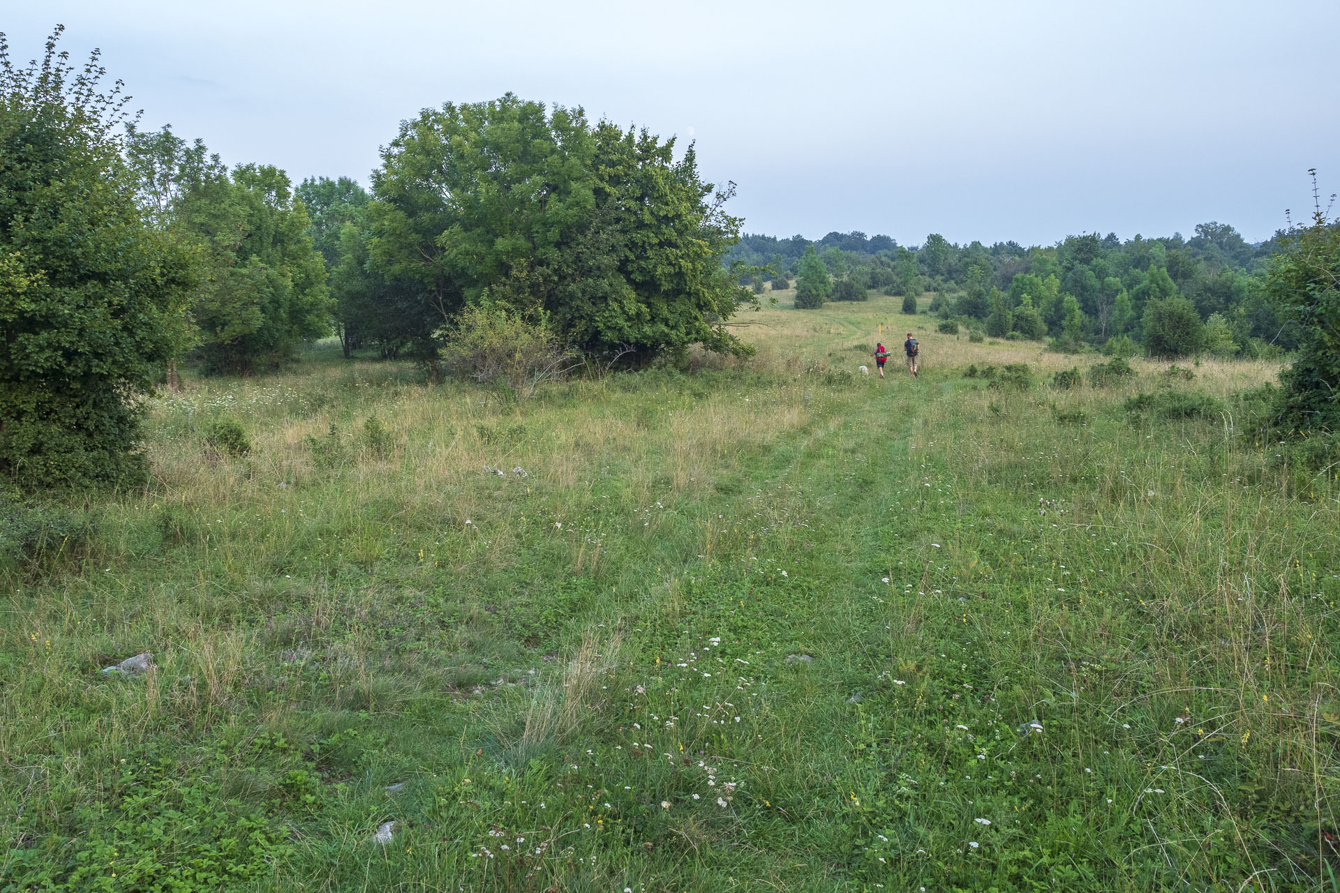 Gerlašská skala a Zvonárka z Rožňavského Bystrého (Slovenský kras)