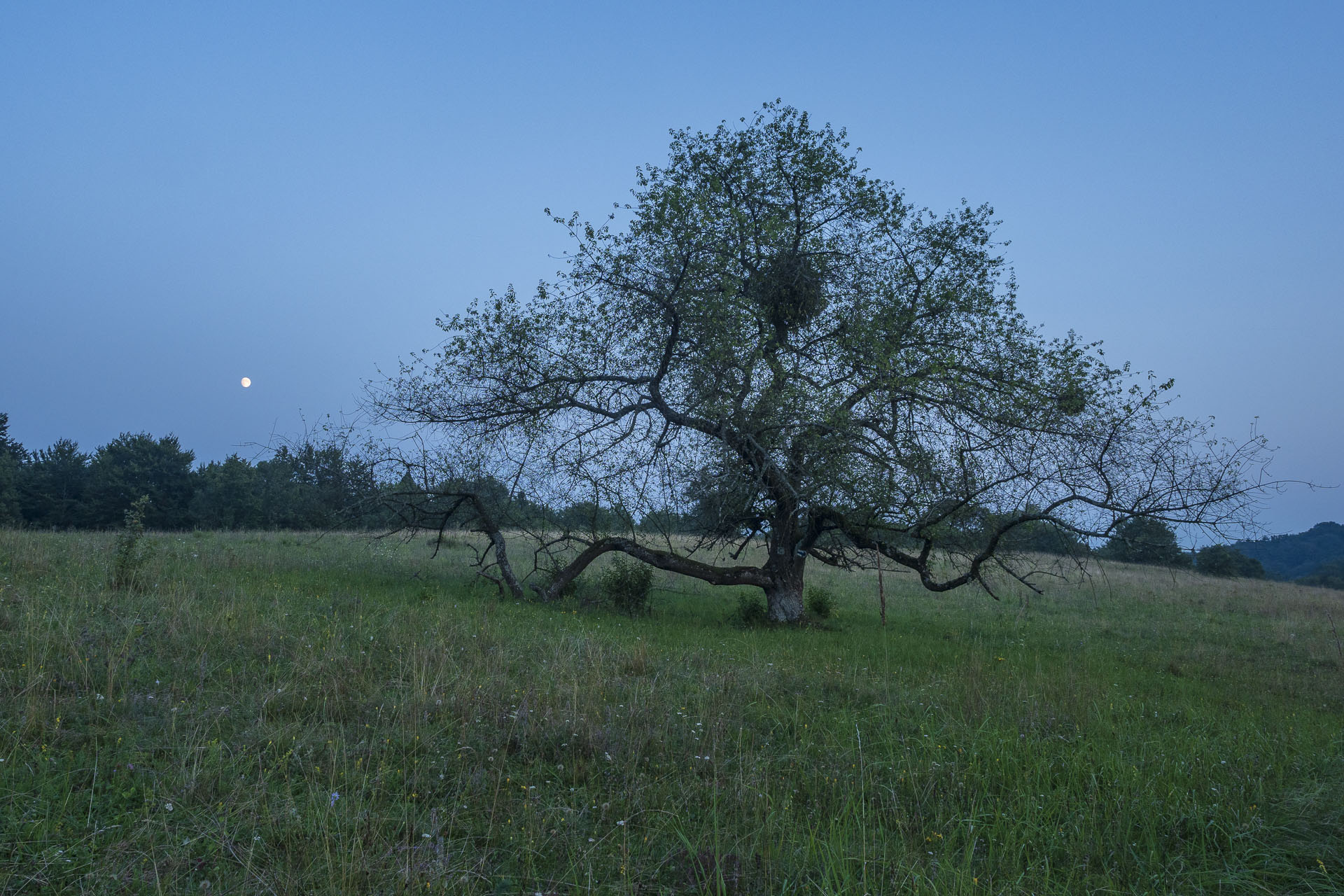 Gerlašská skala a Zvonárka z Rožňavského Bystrého (Slovenský kras)