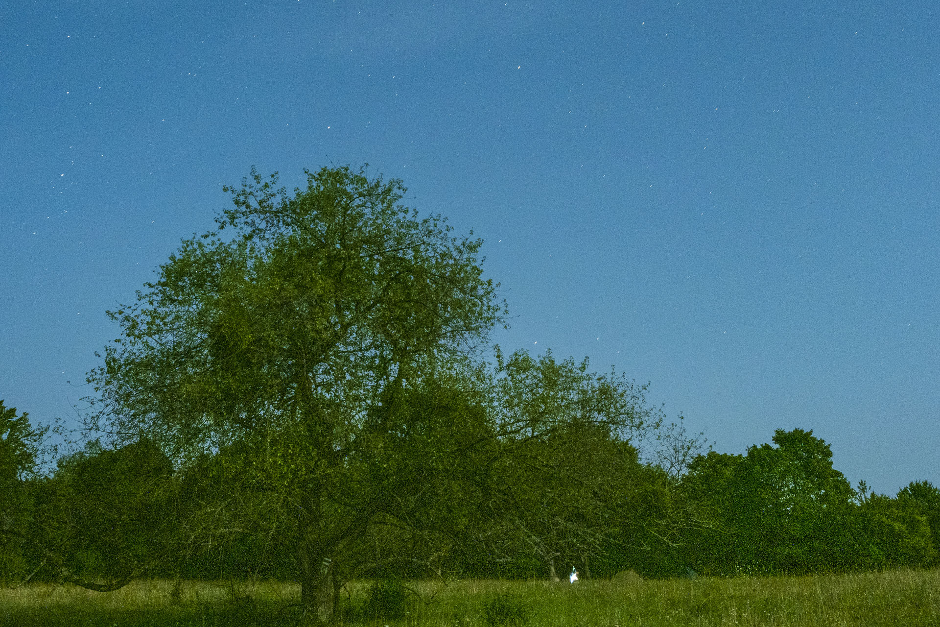 Gerlašská skala a Zvonárka z Rožňavského Bystrého (Slovenský kras)