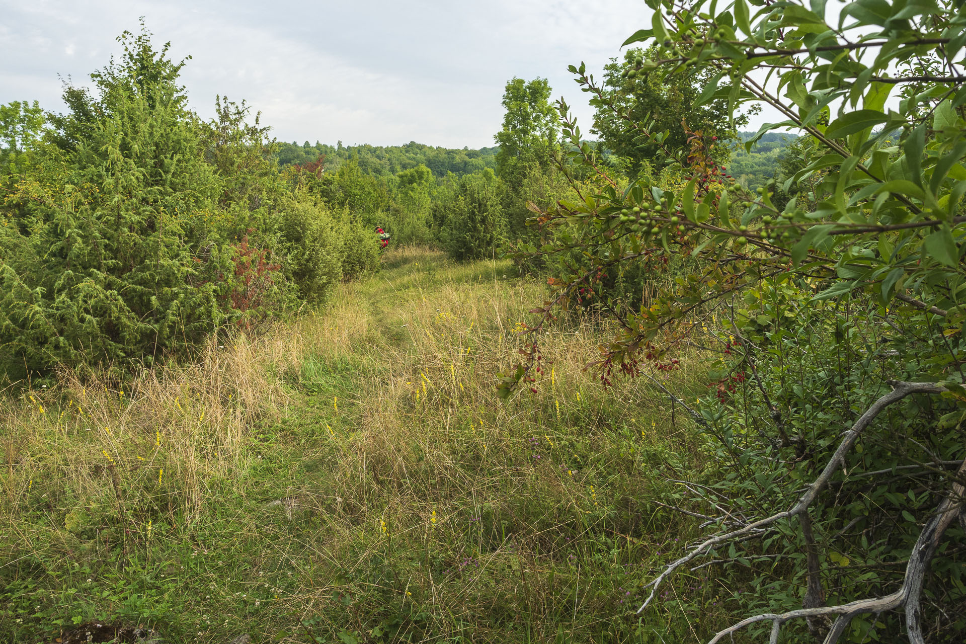 Gerlašská skala a Zvonárka z Rožňavského Bystrého (Slovenský kras)