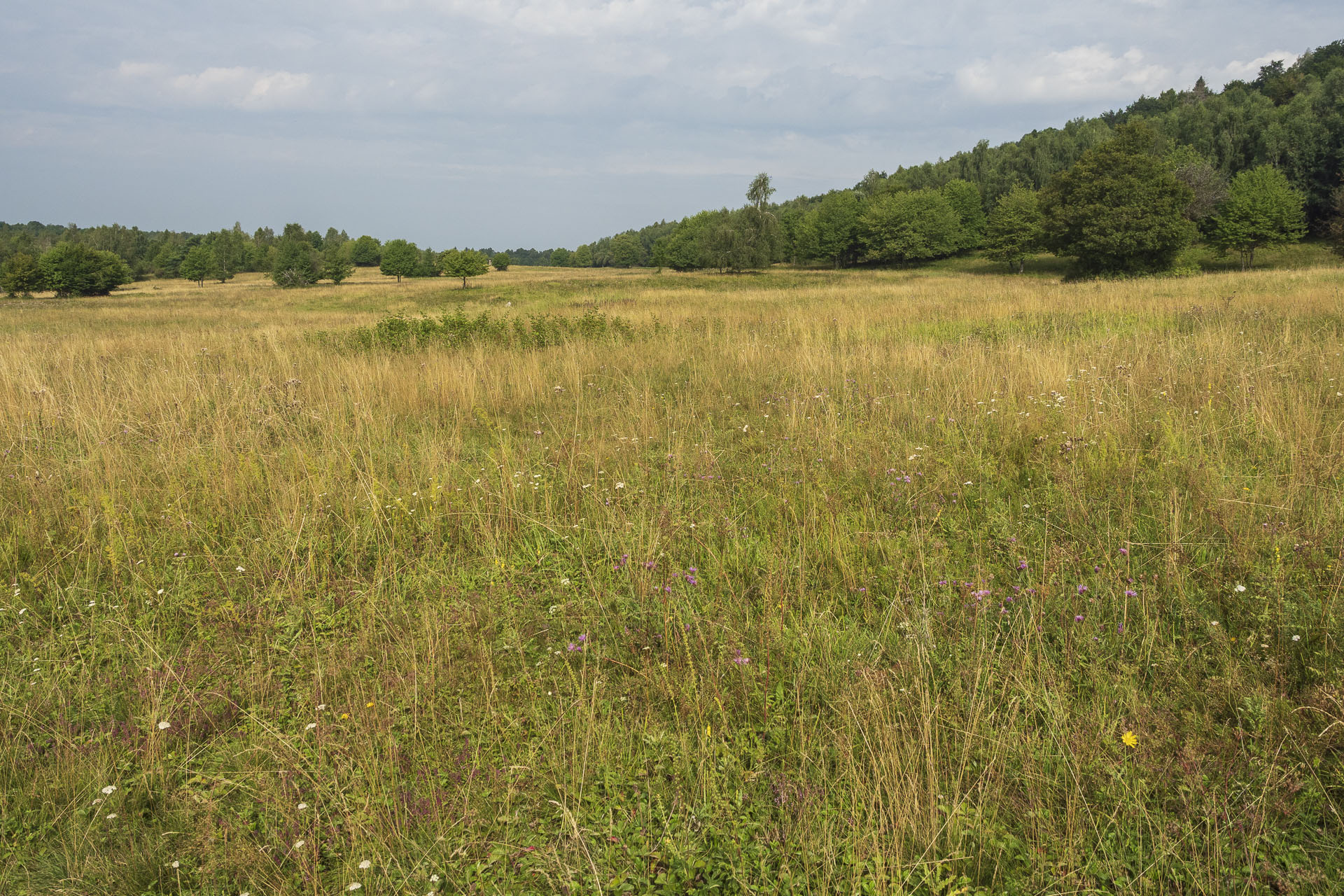 Gerlašská skala a Zvonárka z Rožňavského Bystrého (Slovenský kras)