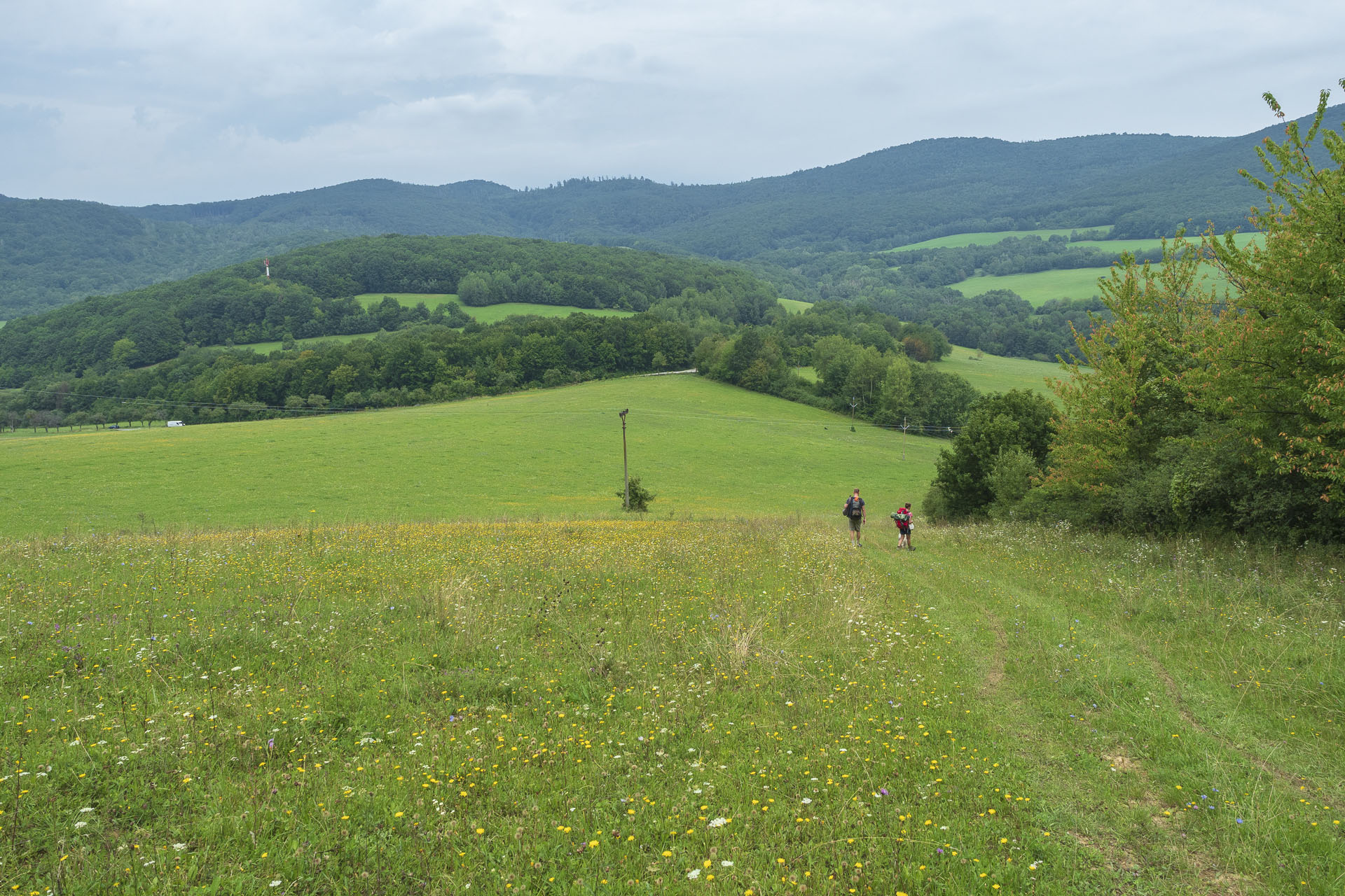 Gerlašská skala a Zvonárka z Rožňavského Bystrého (Slovenský kras)