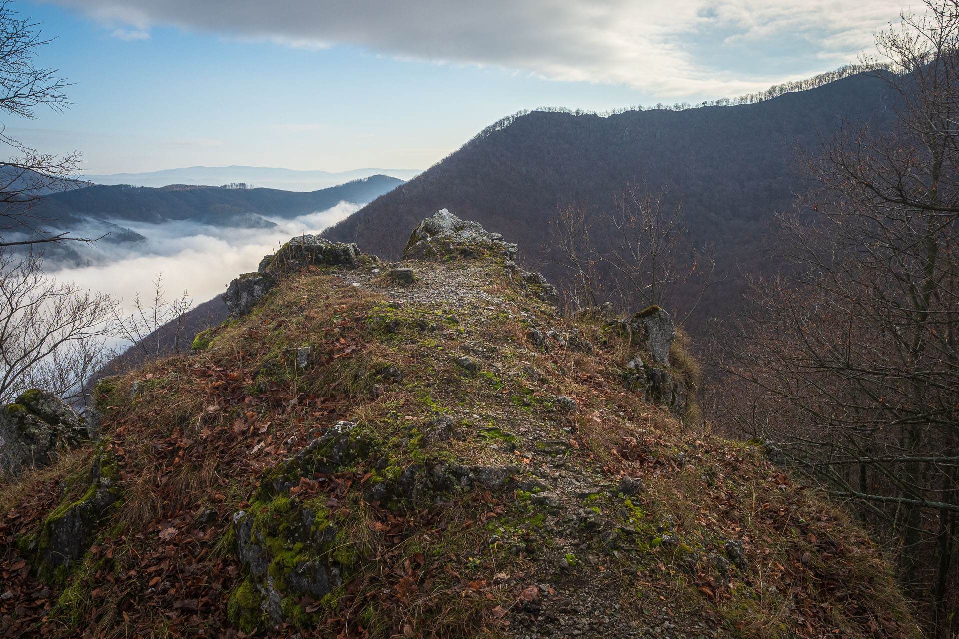 Holica z Malej Lodiny (Čierna hora)