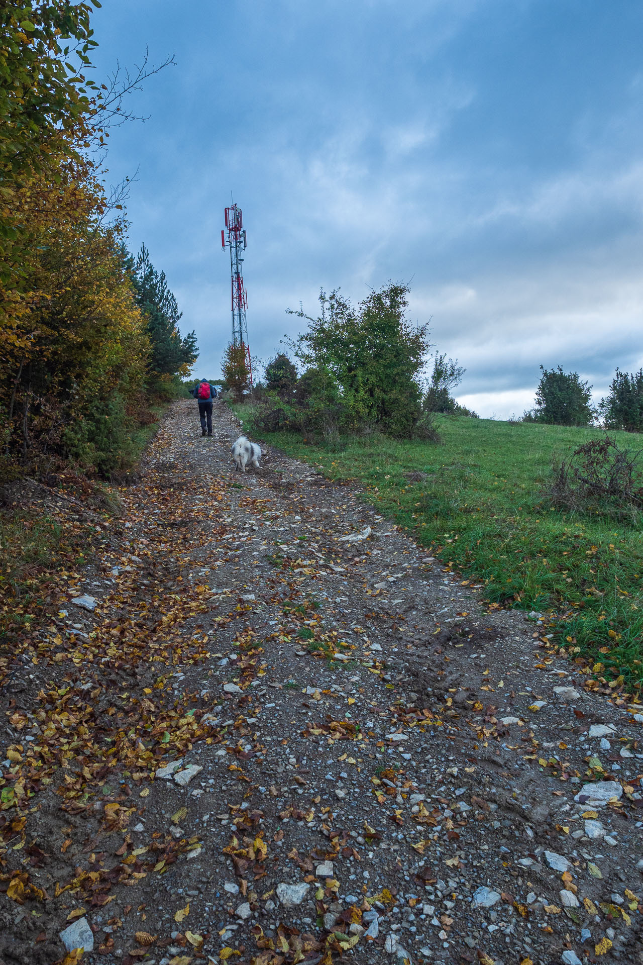 Horný vrch zo sedla Soroška (Slovenský kras)