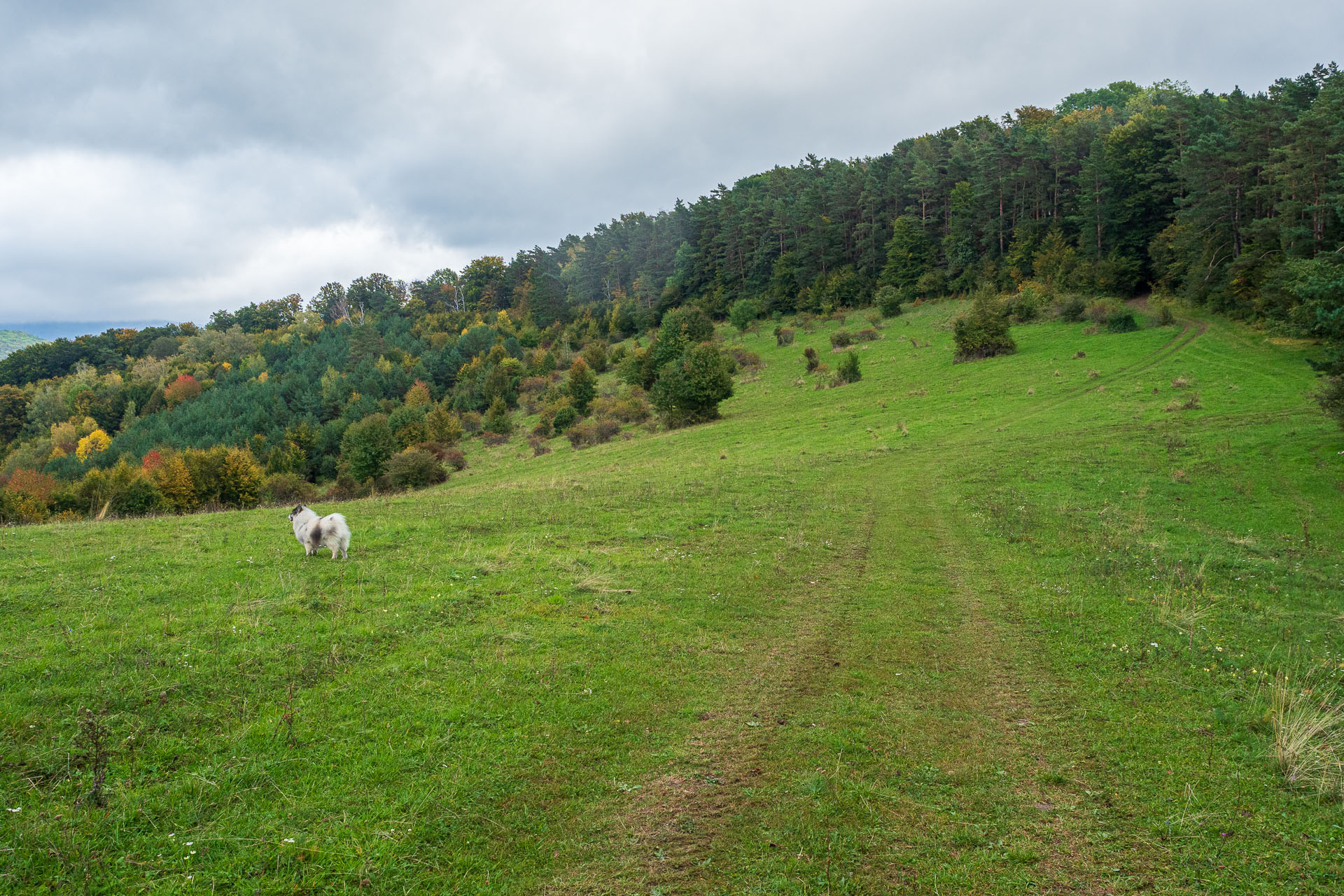 Horný vrch zo sedla Soroška (Slovenský kras)