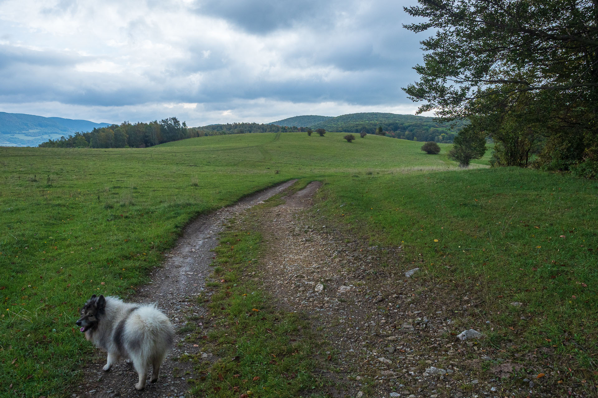 Horný vrch zo sedla Soroška (Slovenský kras)