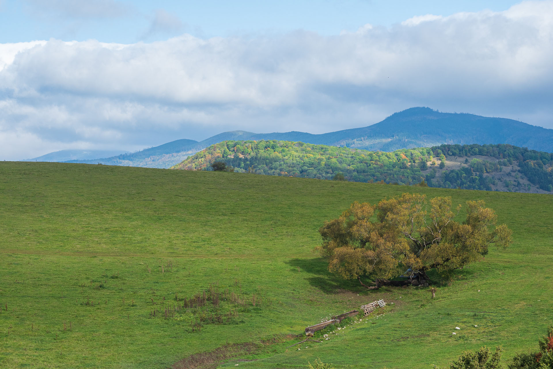 Horný vrch zo sedla Soroška (Slovenský kras)