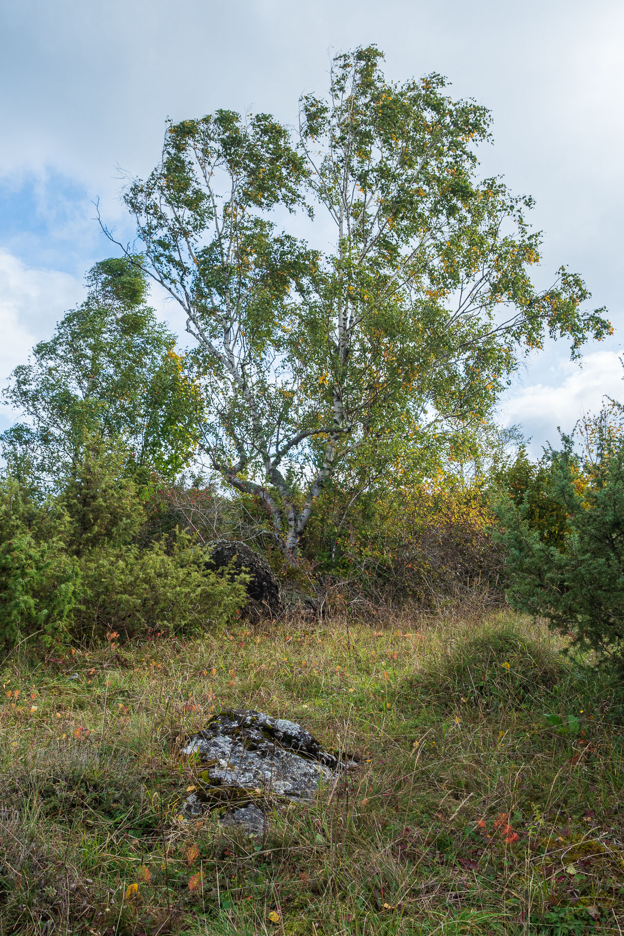 Horný vrch zo sedla Soroška (Slovenský kras)