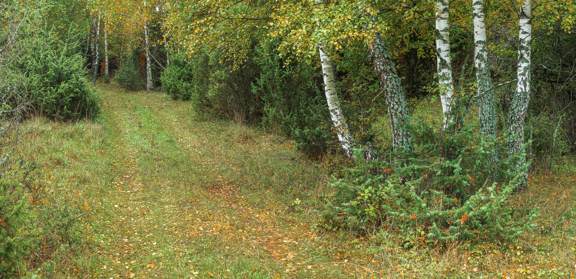 Horný vrch zo sedla Soroška (Slovenský kras)