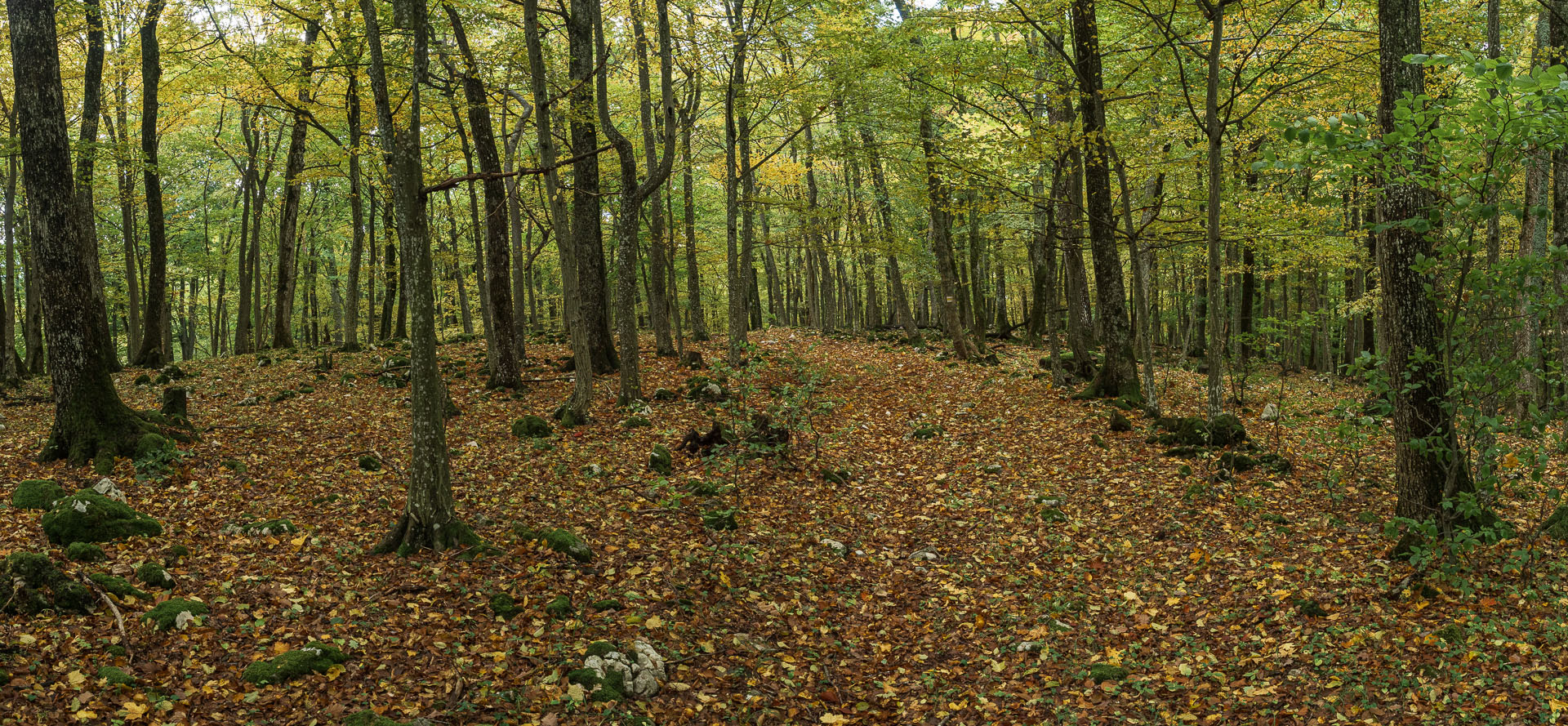 Horný vrch zo sedla Soroška (Slovenský kras)