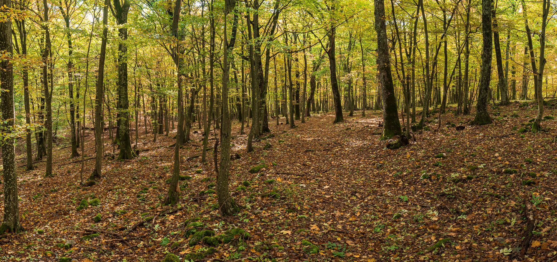 Horný vrch zo sedla Soroška (Slovenský kras)