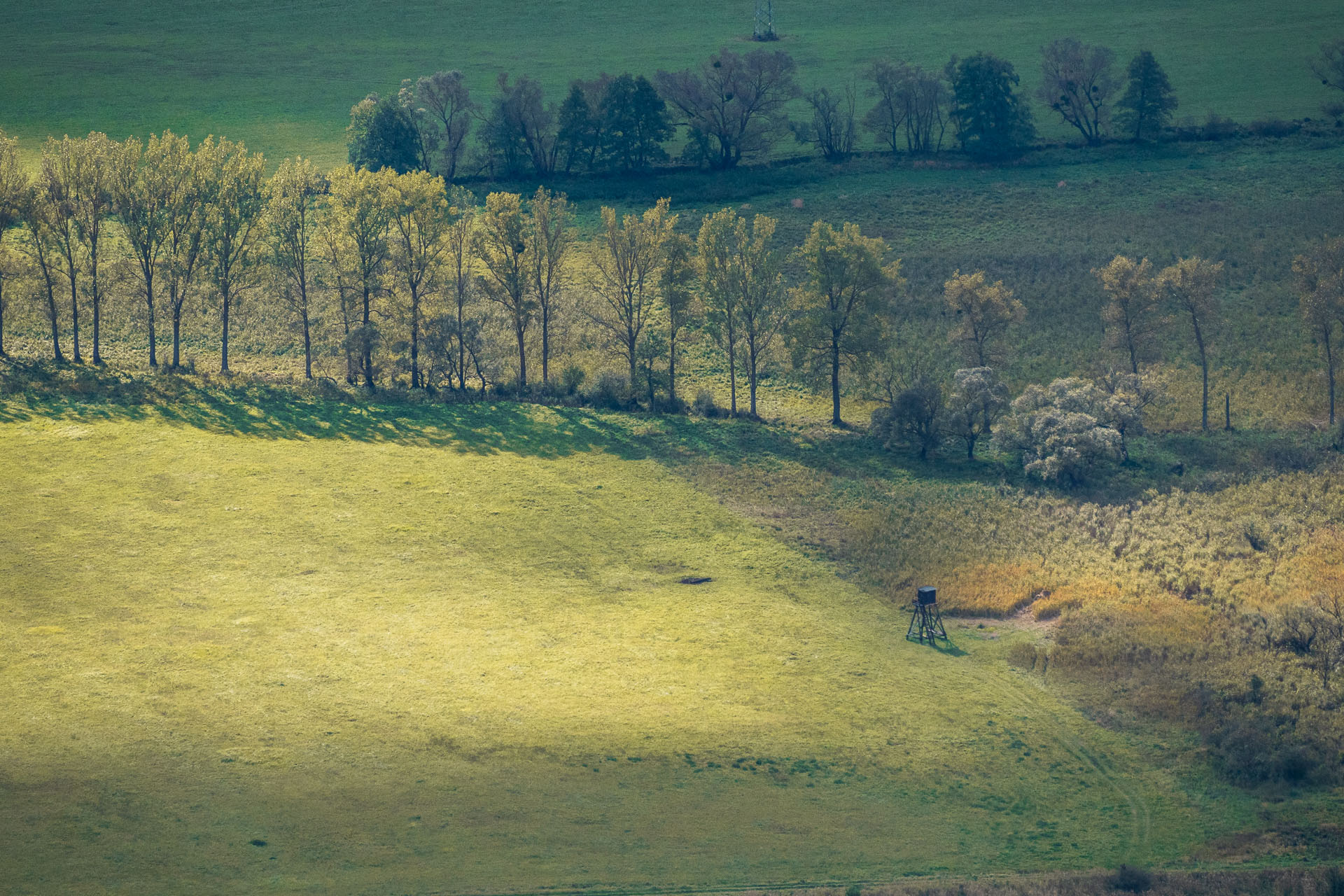 Horný vrch zo sedla Soroška (Slovenský kras)