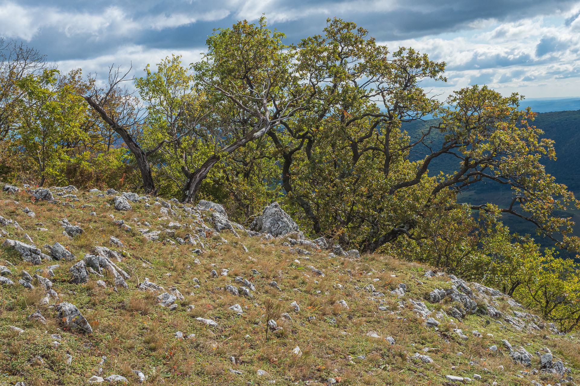 Horný vrch zo sedla Soroška (Slovenský kras)