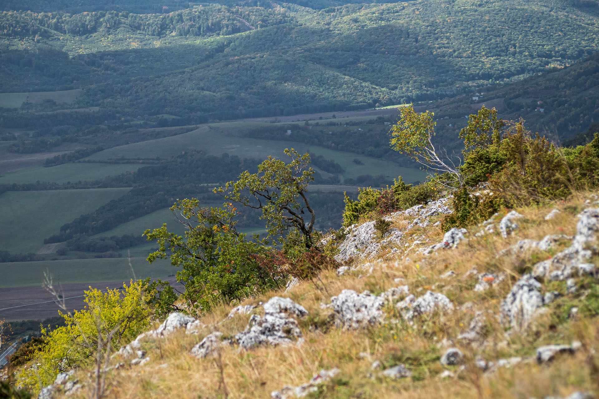 Horný vrch zo sedla Soroška (Slovenský kras)