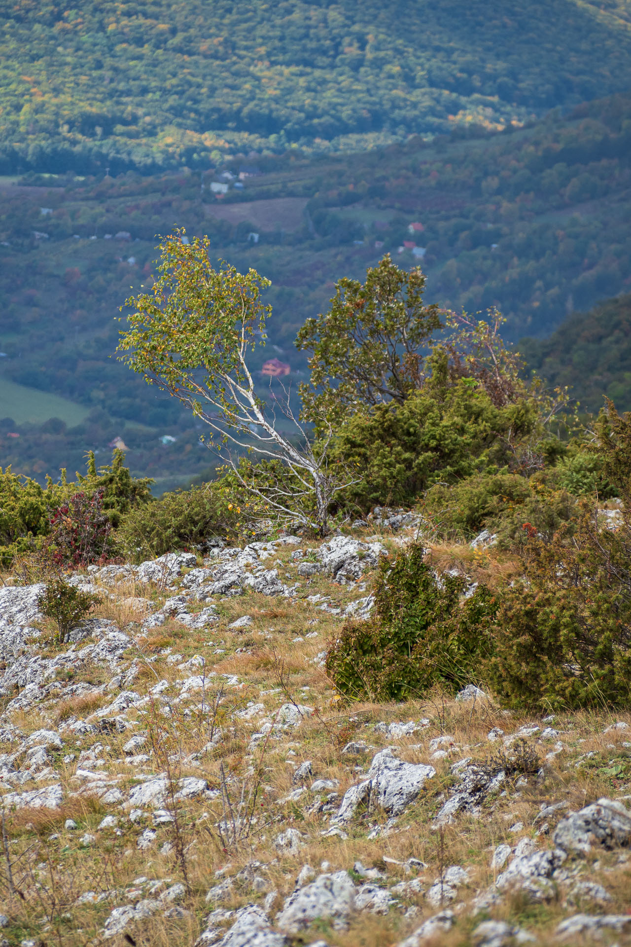 Horný vrch zo sedla Soroška (Slovenský kras)