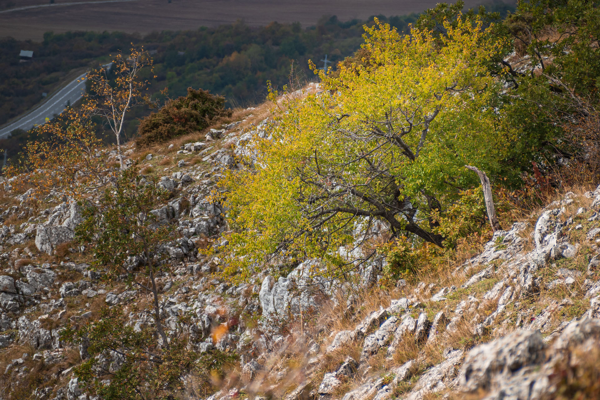 Horný vrch zo sedla Soroška (Slovenský kras)