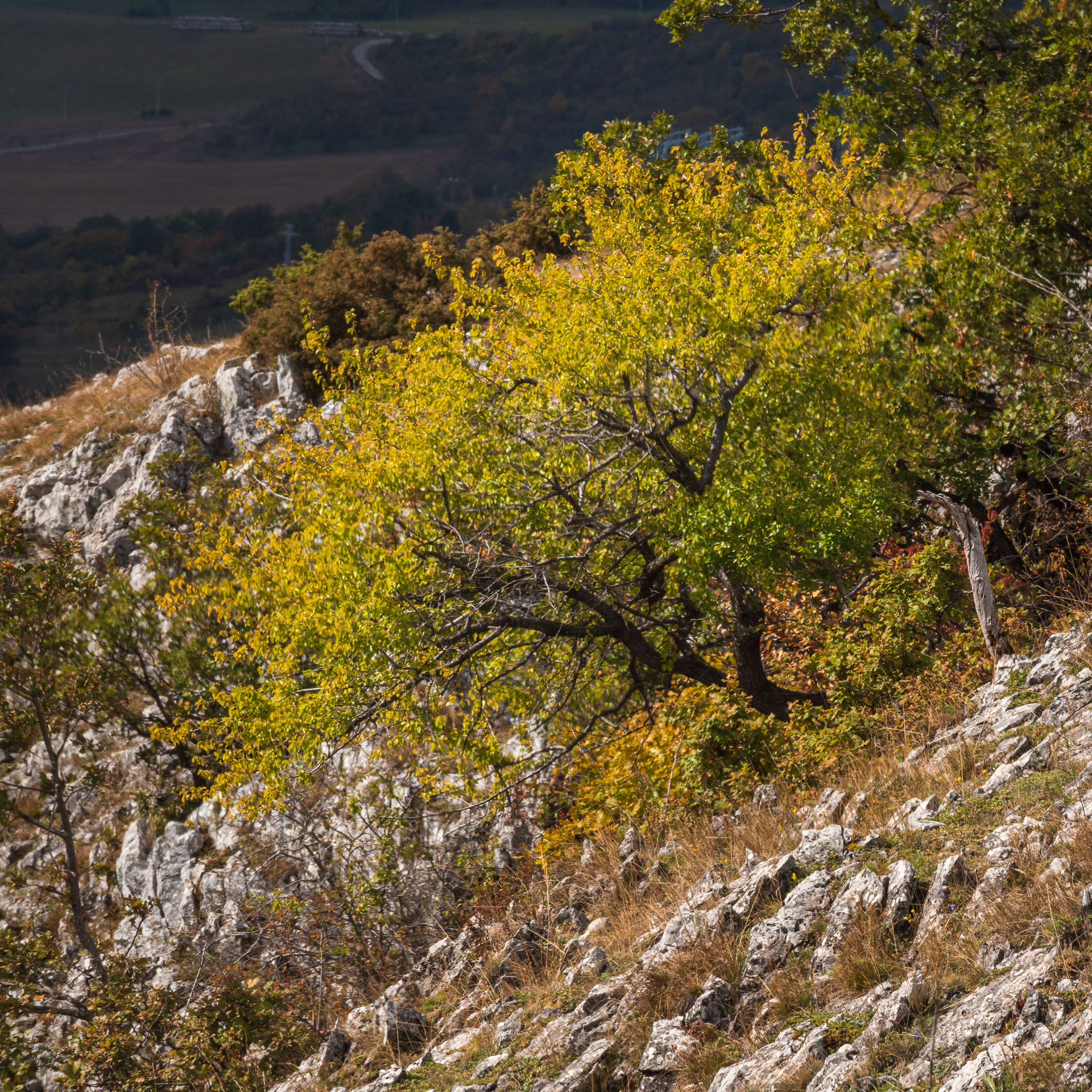 Horný vrch zo sedla Soroška (Slovenský kras)