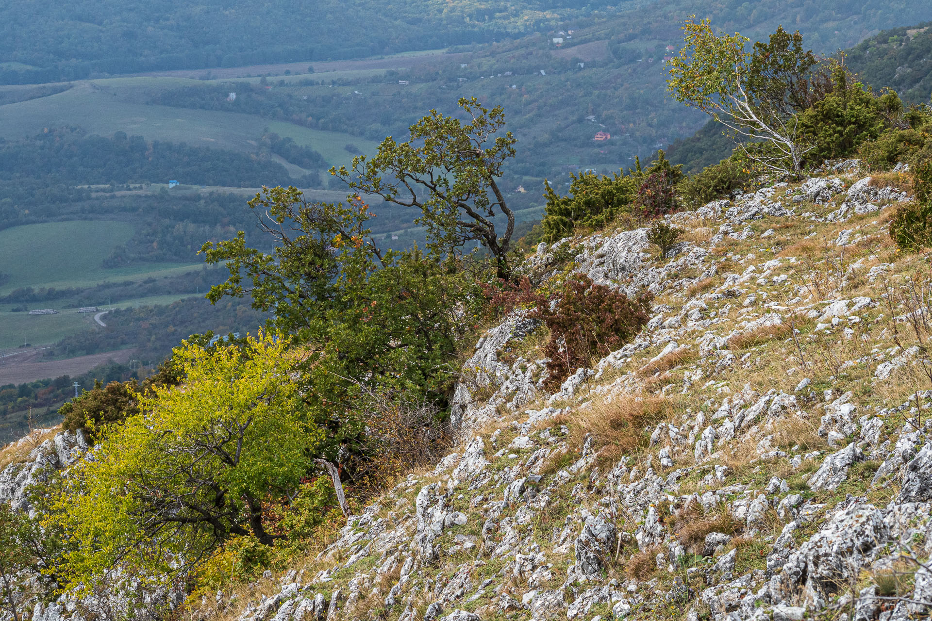 Horný vrch zo sedla Soroška (Slovenský kras)