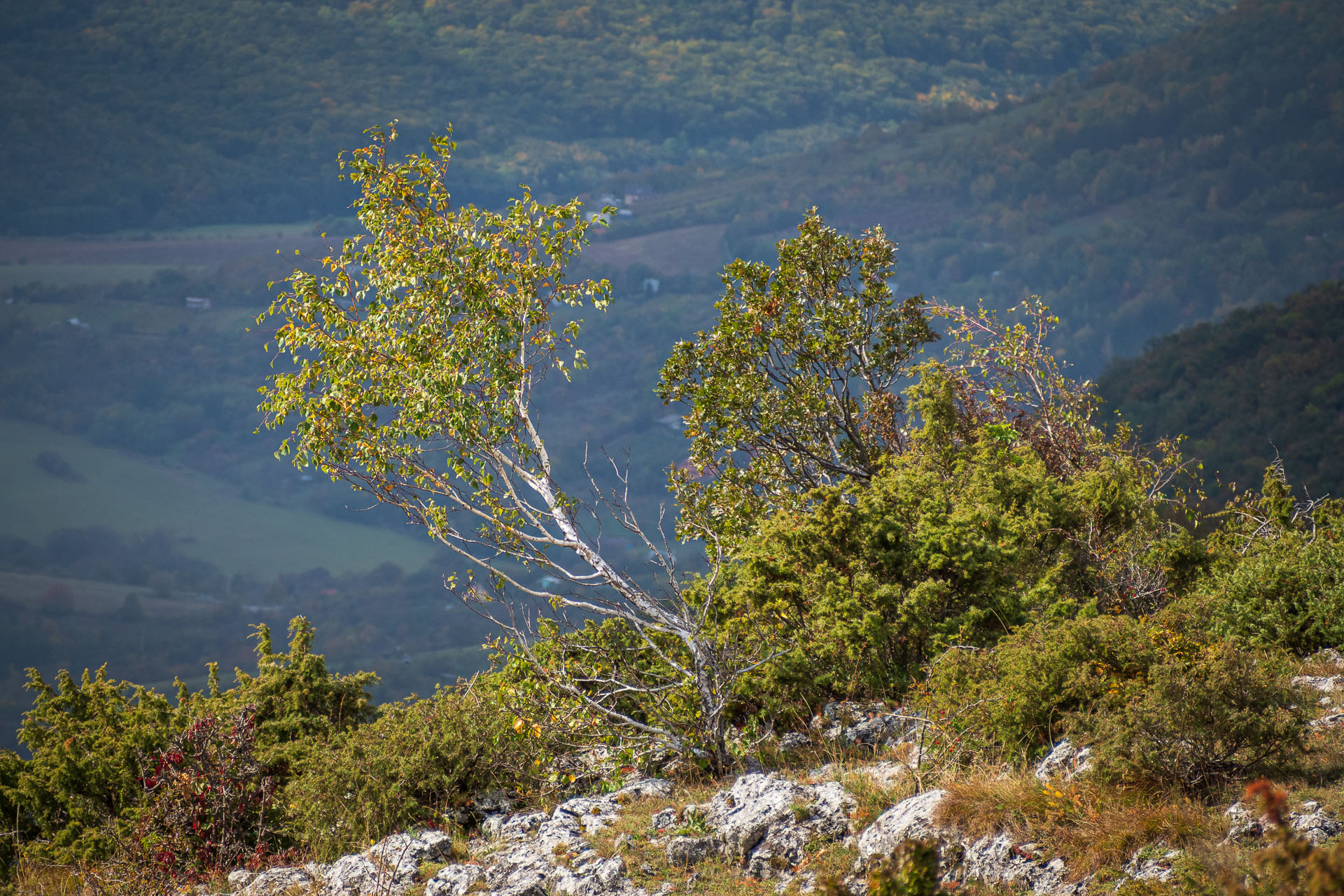 Horný vrch zo sedla Soroška (Slovenský kras)