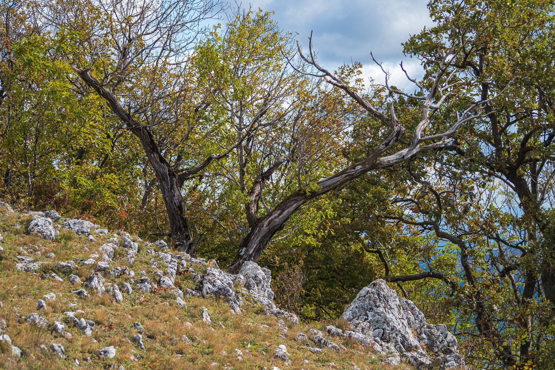 Horný vrch zo sedla Soroška (Slovenský kras)