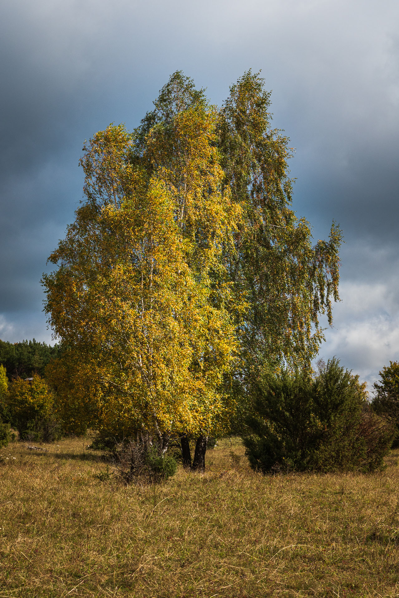 Horný vrch zo sedla Soroška (Slovenský kras)