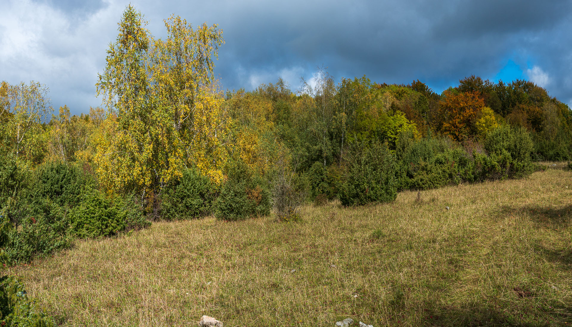 Horný vrch zo sedla Soroška (Slovenský kras)