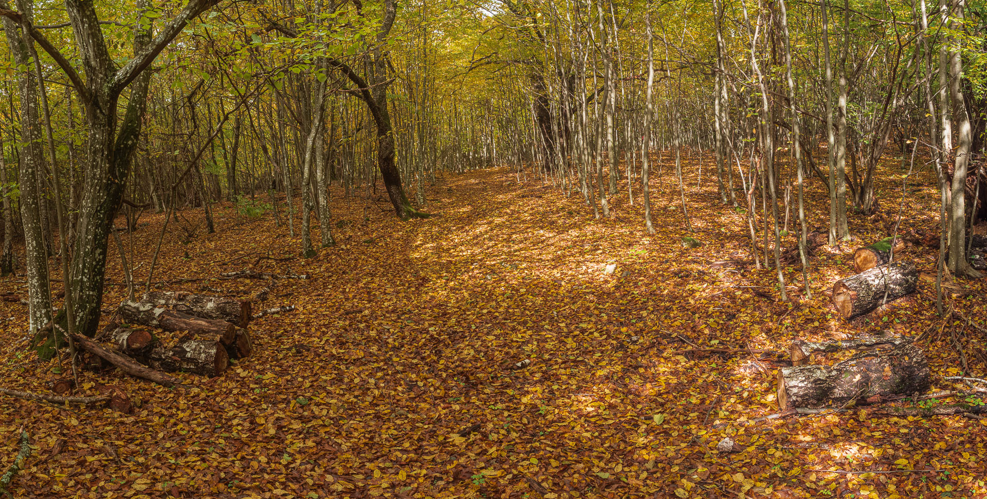 Horný vrch zo sedla Soroška (Slovenský kras)