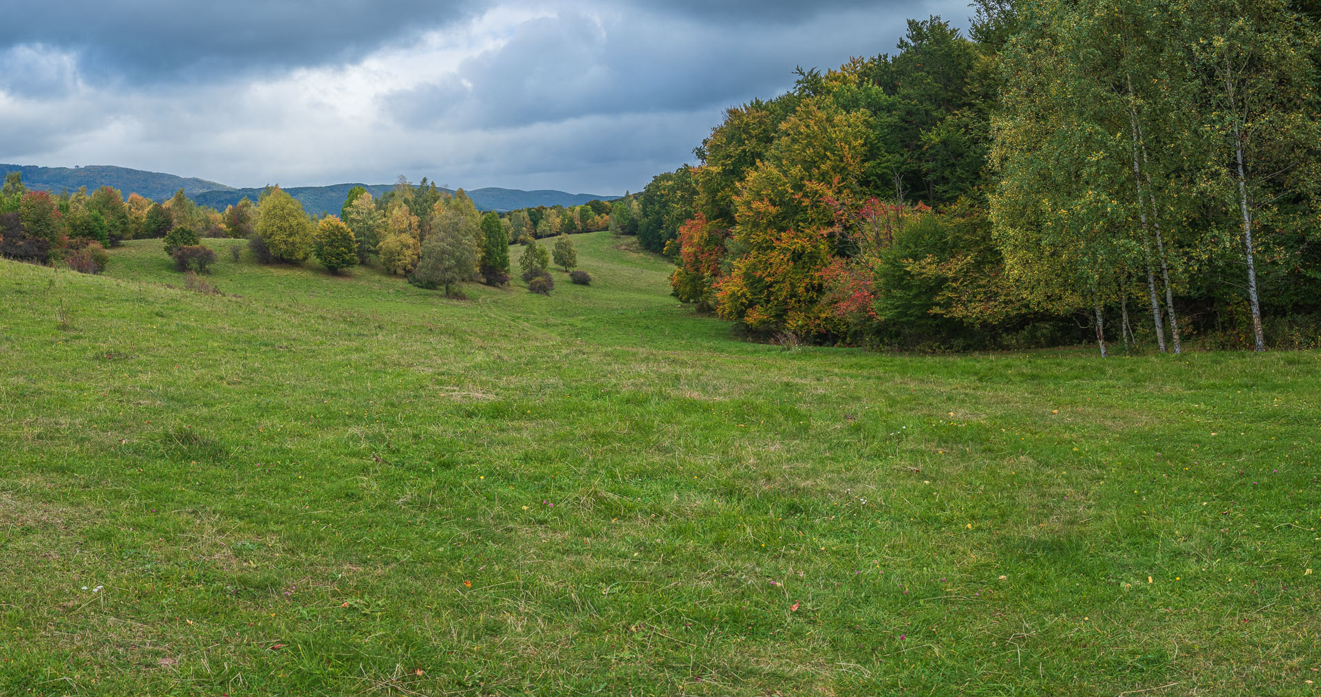 Horný vrch zo sedla Soroška (Slovenský kras)