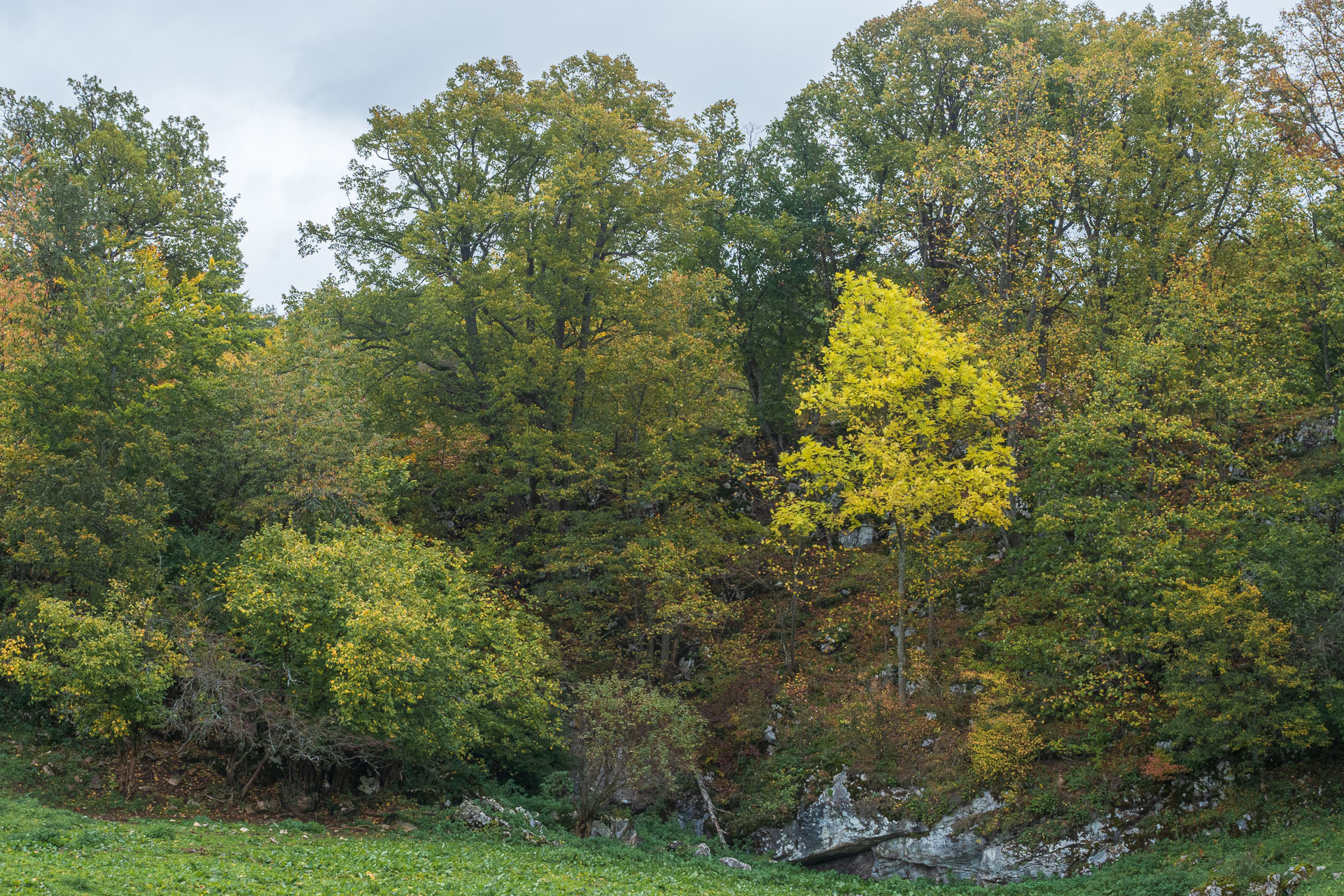 Horný vrch zo sedla Soroška (Slovenský kras)